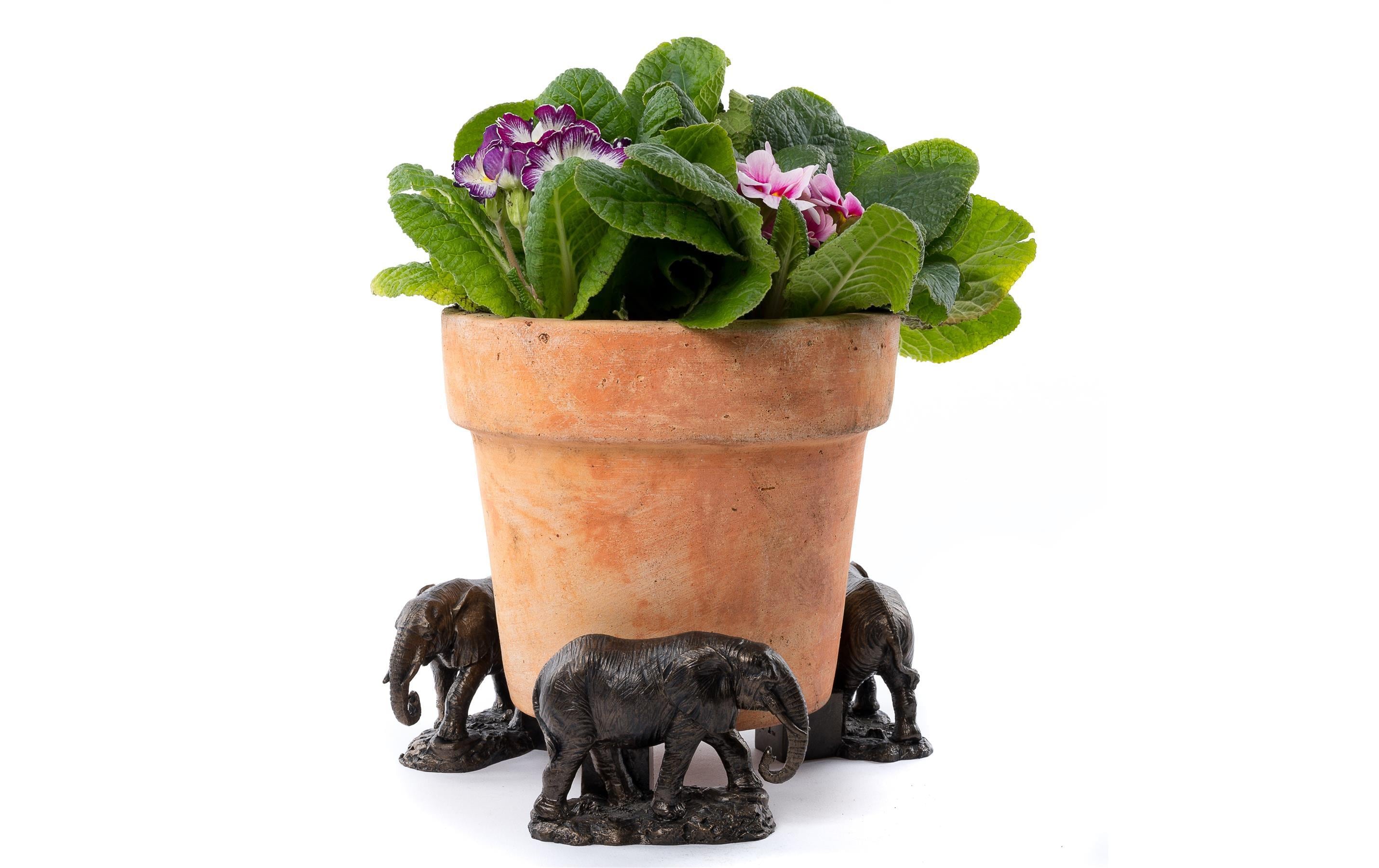 Jardinopia Pflanzentopffüsse Potty Feet Elefant, 3er Set