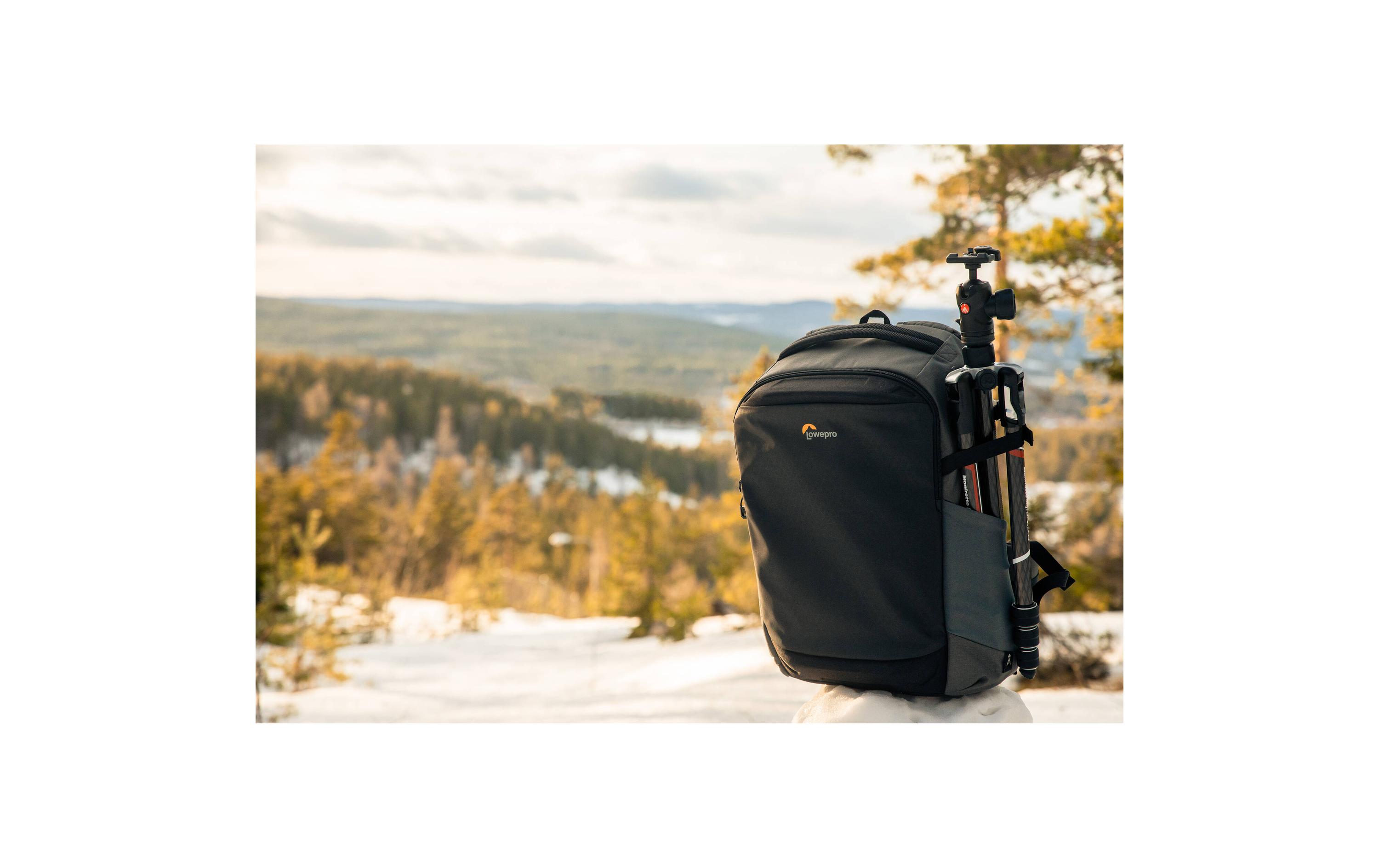 Lowepro Fotorucksack Flipside 300 AW III