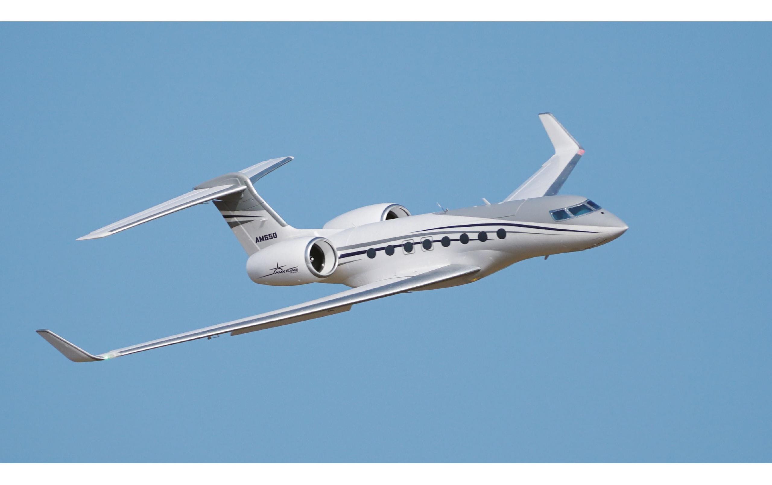 Amewi Business Jet AM650 1766 mm PNP