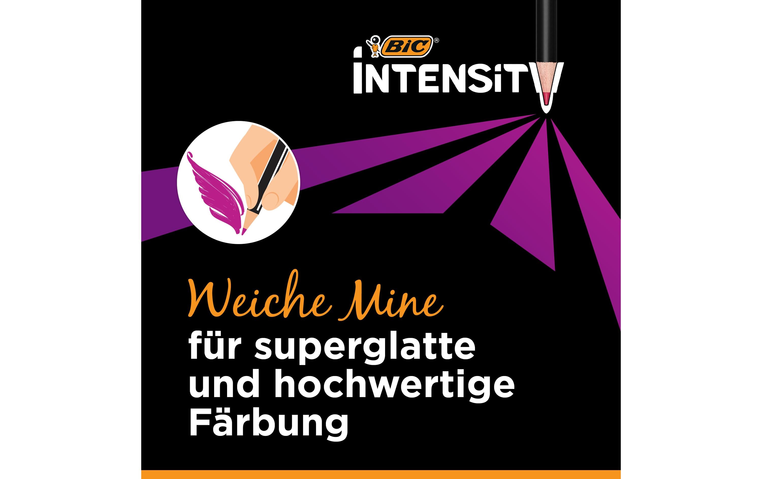 BIC Farbstifte Intensity Premium 36 Stück