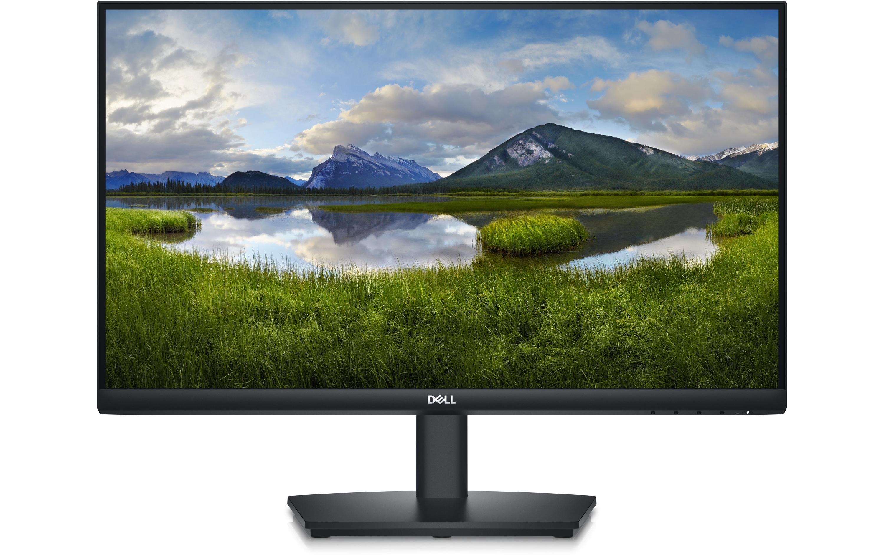 DELL Monitor E2424HS