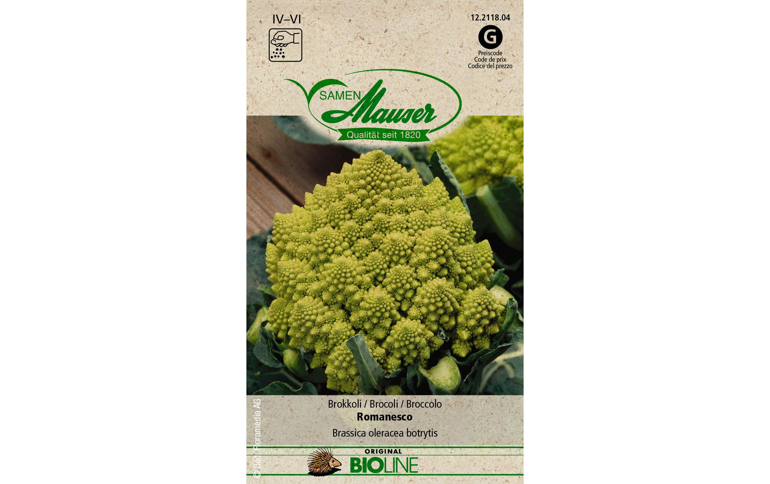 Samen Mauser Samen BIO Brokkoli Romanesco