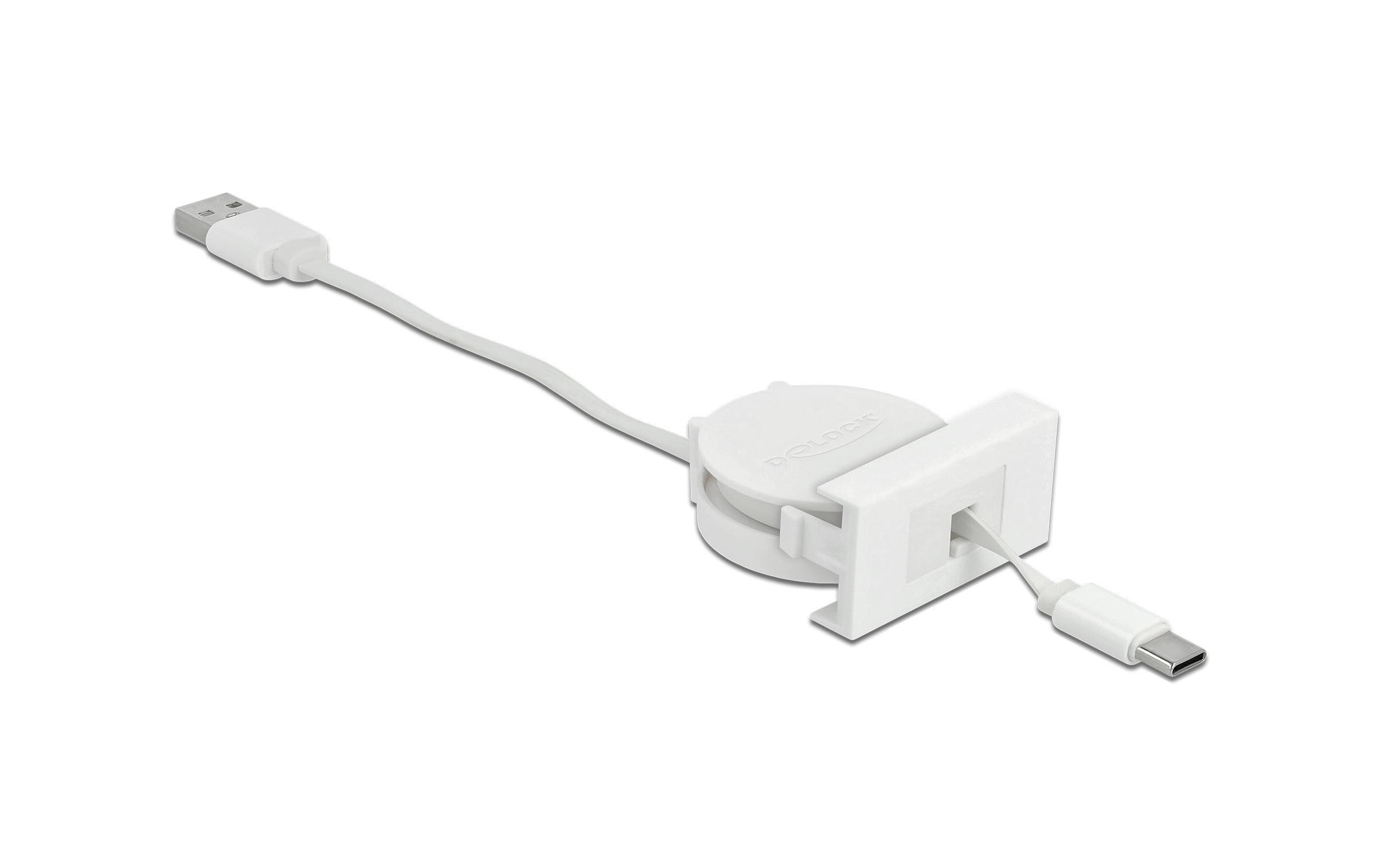 Delock Easy 45 Modul USB 2.0 Ausrollkabel USB Typ-A zu USB Type-C