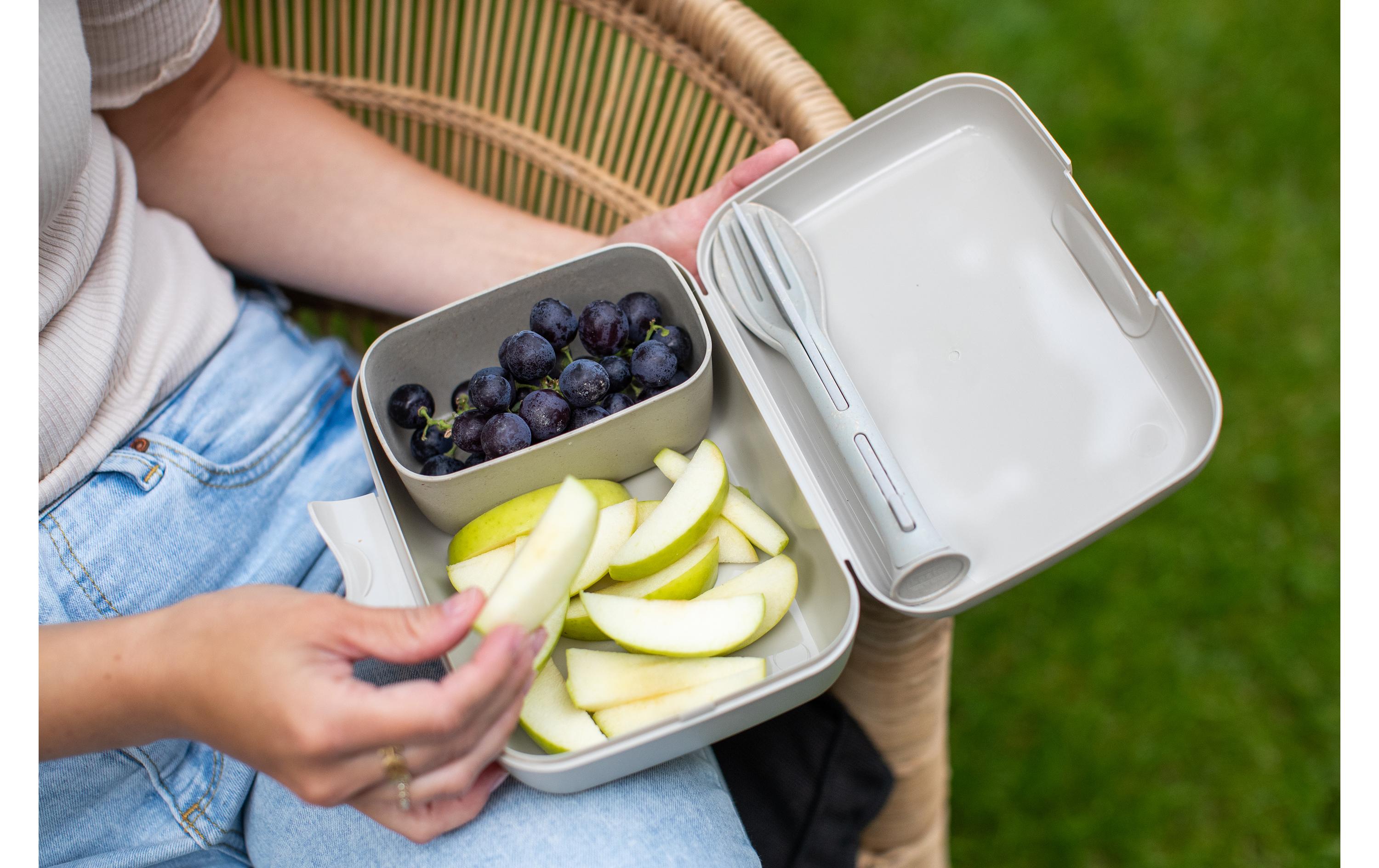 Koziol Lunchbox Candy Set 4-teilig, Dunkelgrau/Grau