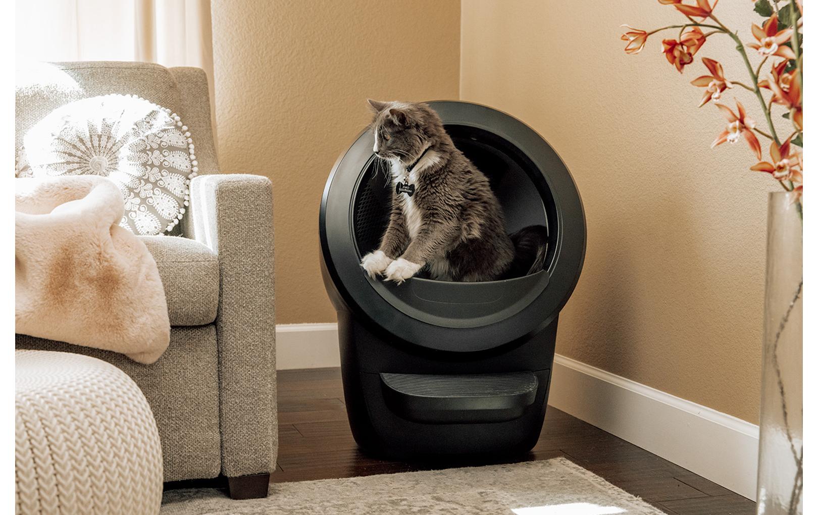 Litter-Robot Katzentoilette Litter Robot 4, Schwarz