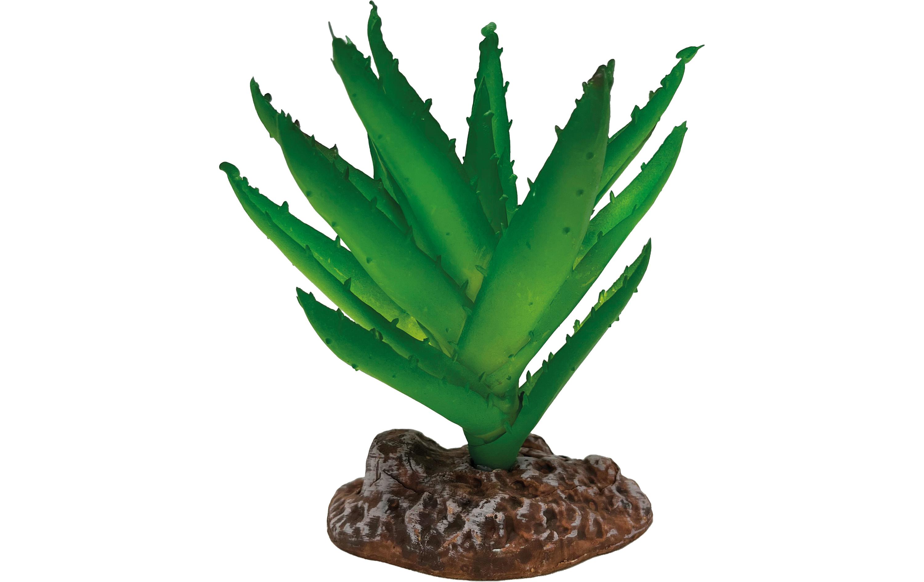 Repto Deco Plant Aloe Vera, 13 cm