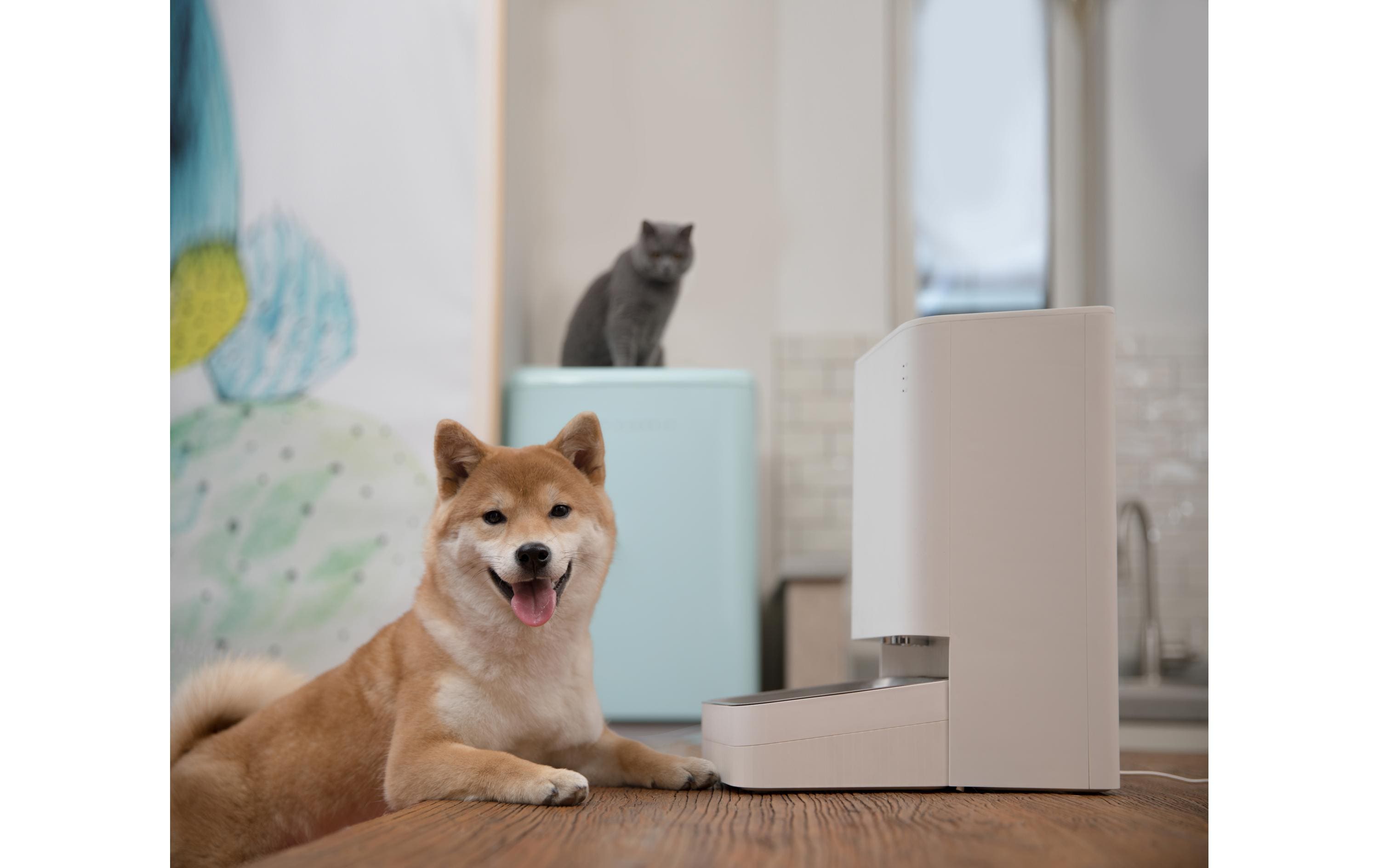 Xiaomi Smart Pet Food Feeder, Weiss