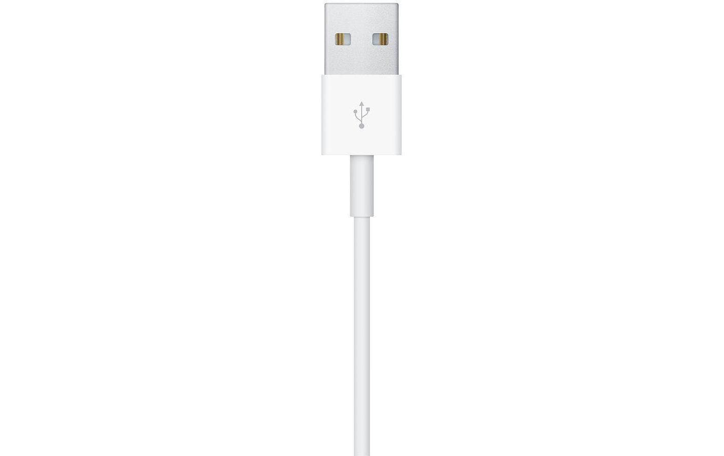 Apple Ladekabel 1m magnetisch