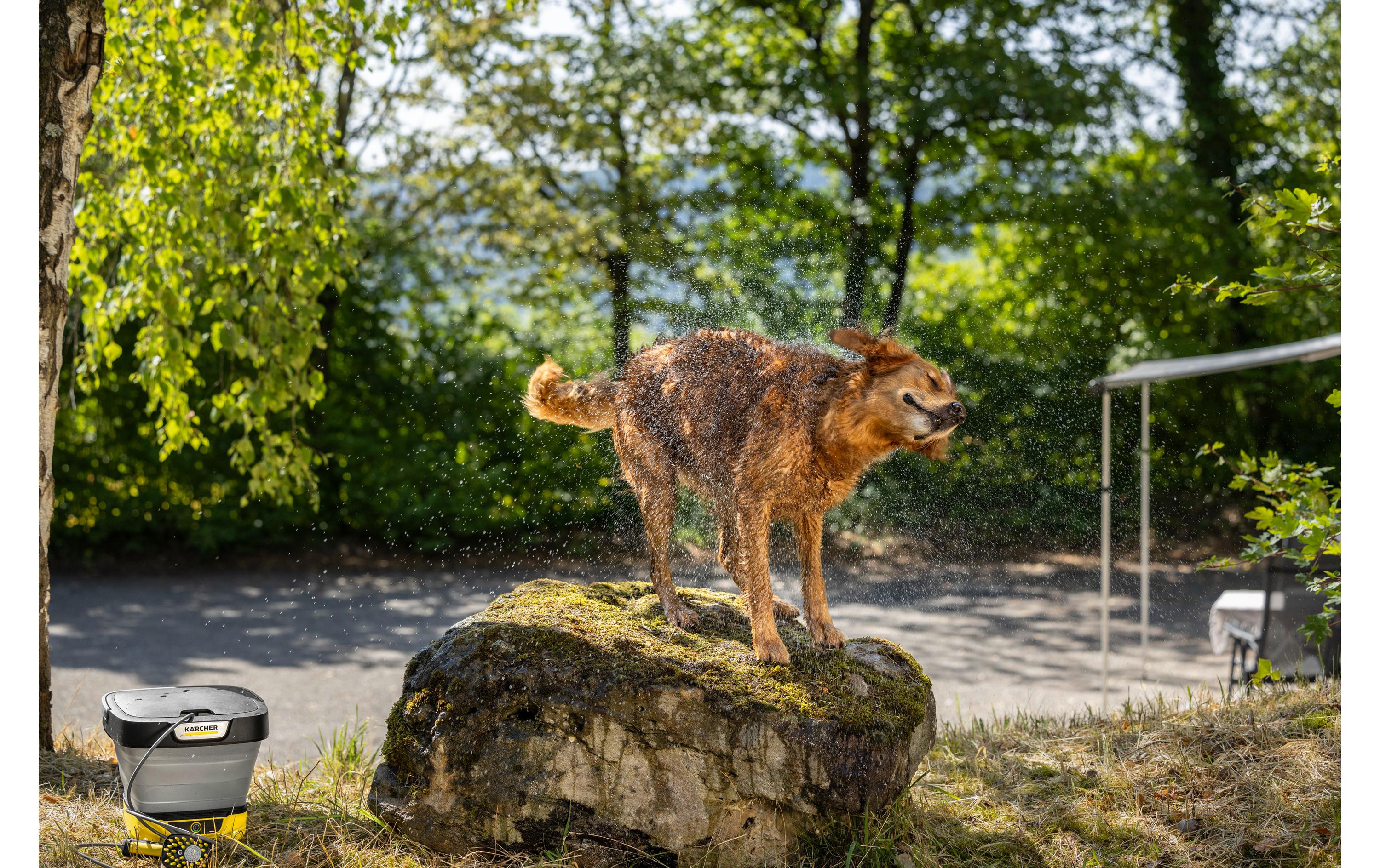 Kärcher Waschbürste Haustier