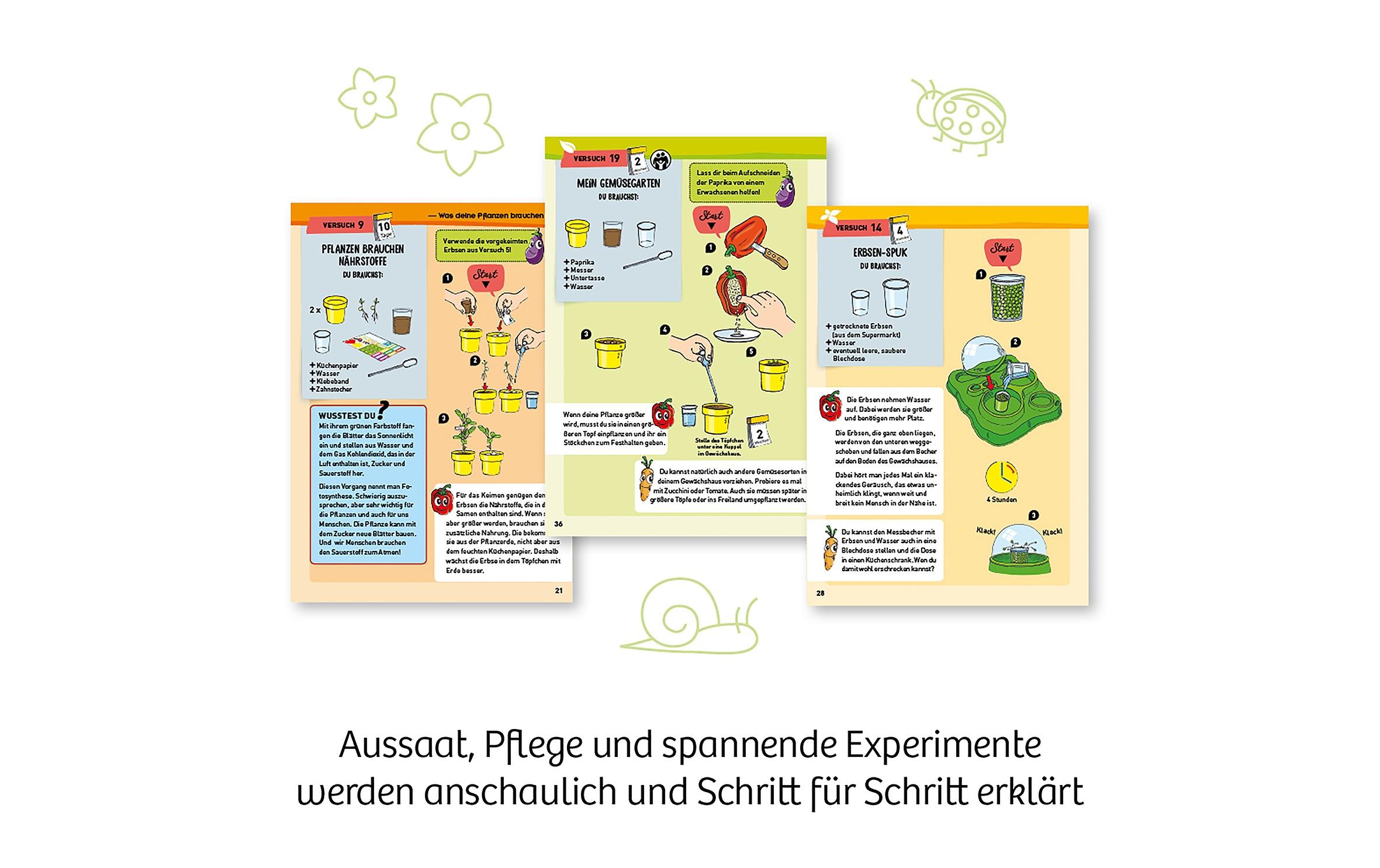 Kosmos Experimentierkasten Mein erstes Gewächshaus