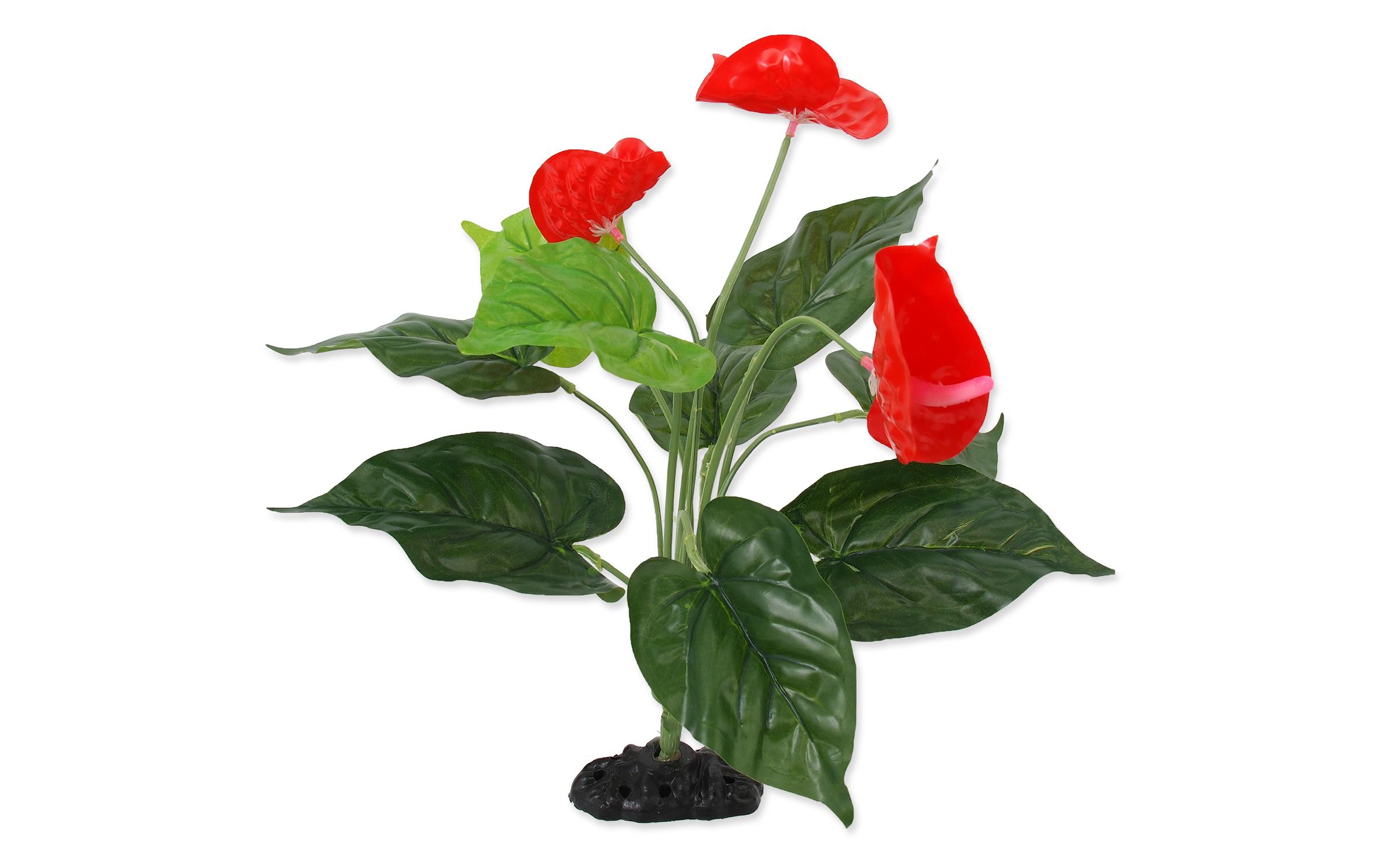 Repti Planet Anthurium, 40 cm