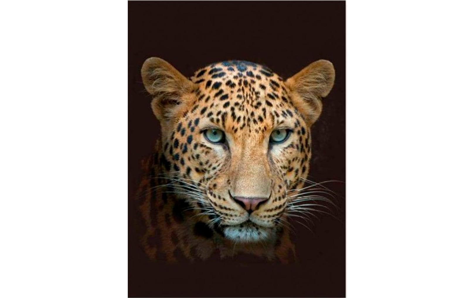 Hubatka Decke Leopard 150 x 200 cm, Braun