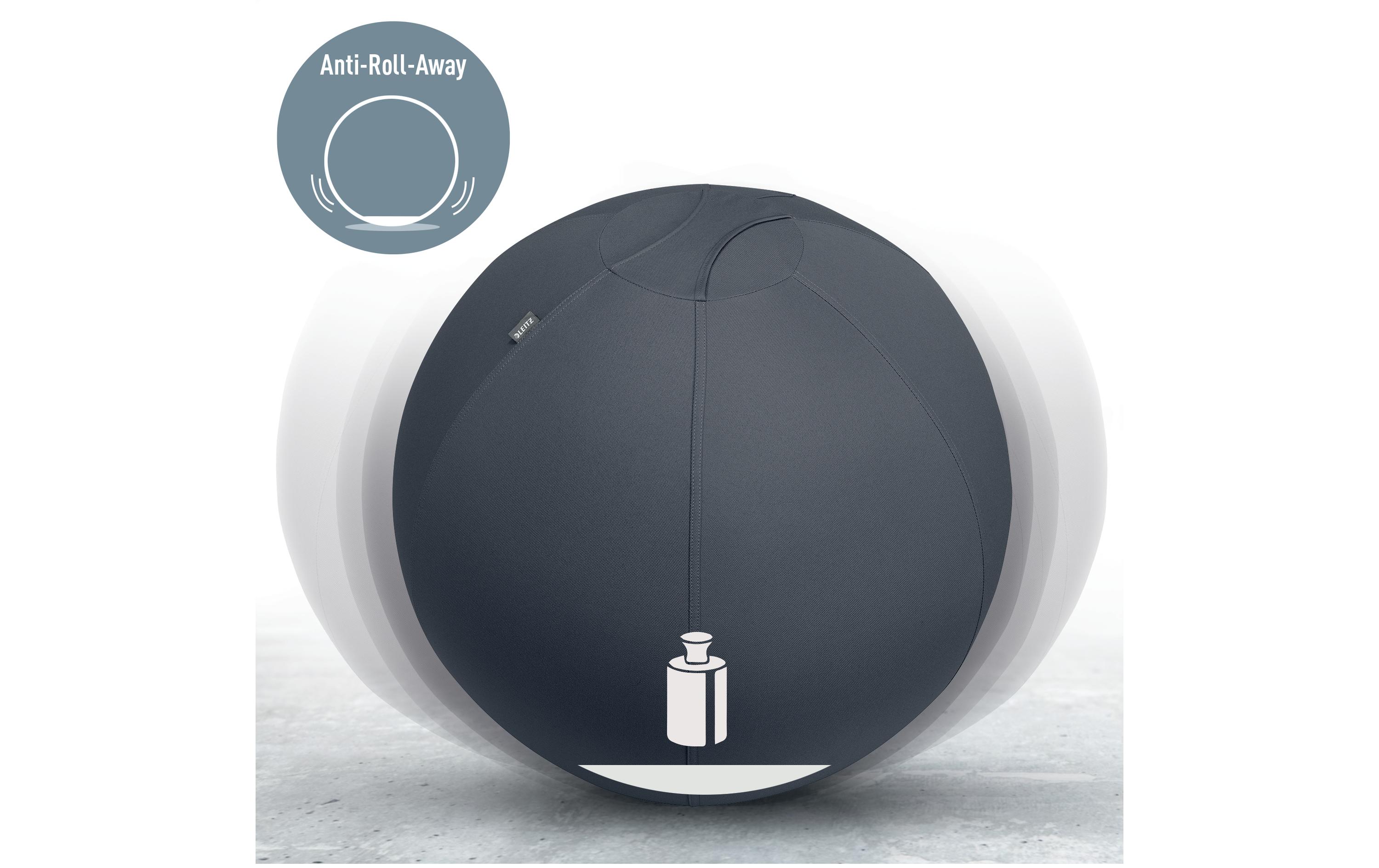 Leitz Sitzball Ergo Active 65 cm