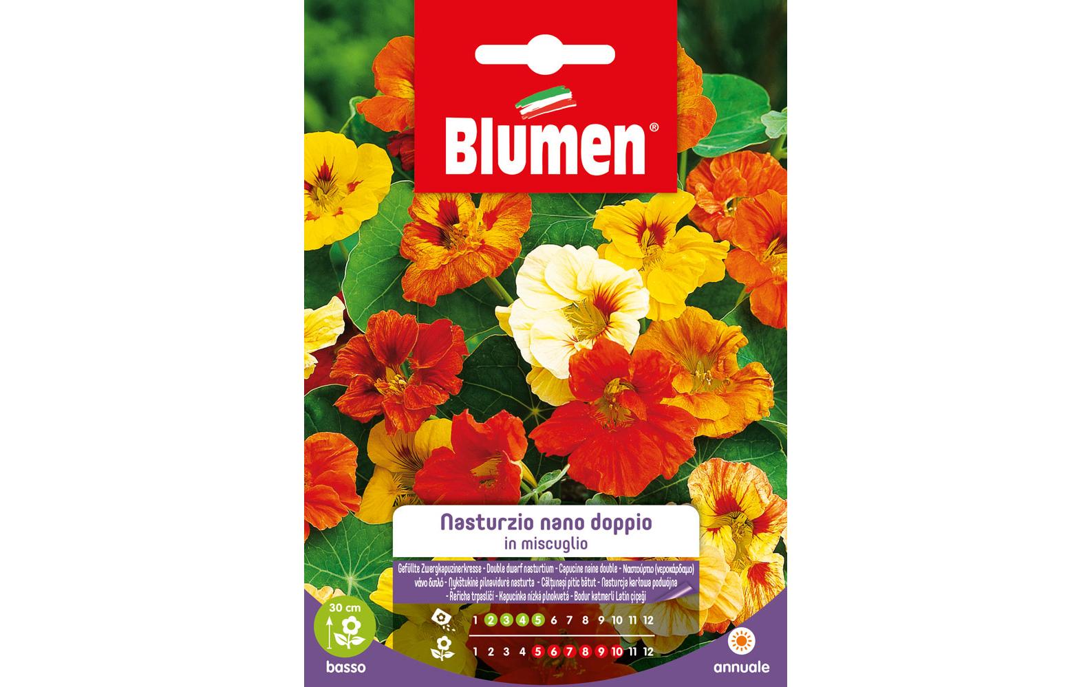 Blumen Saatgut Gefüllte Zwerkapuzinerkresse Mix