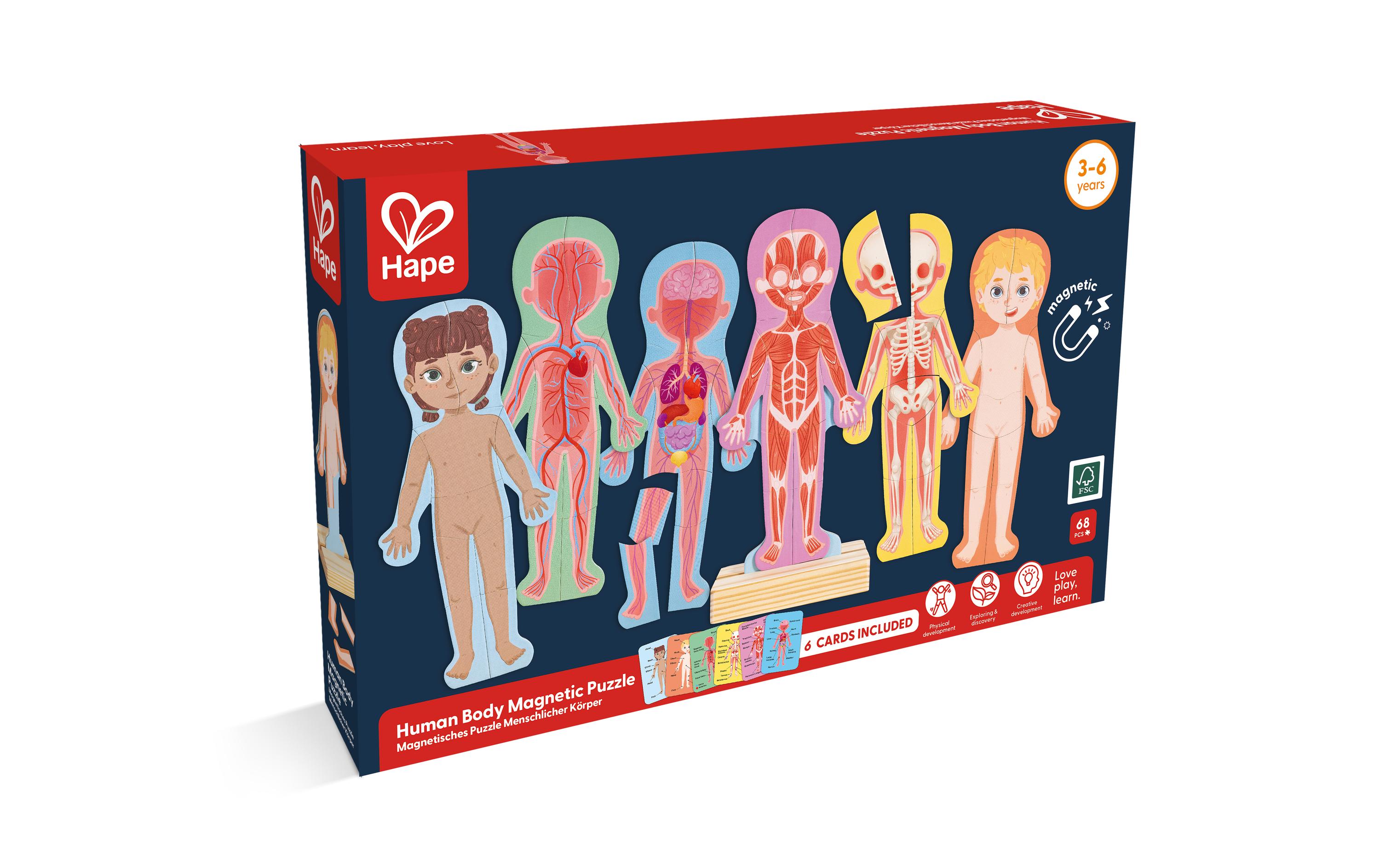 Hape Magnetisches Puzzle Menschlicher Körper