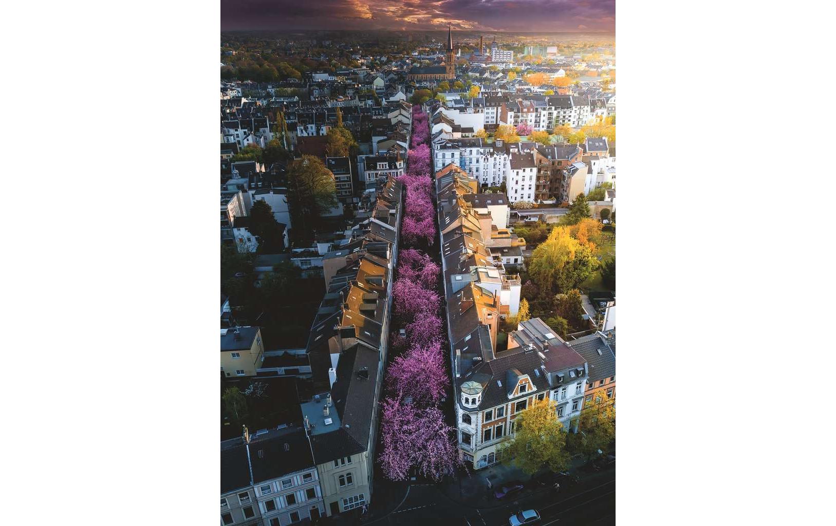 Ravensburger Puzzle Blühendes Bonn