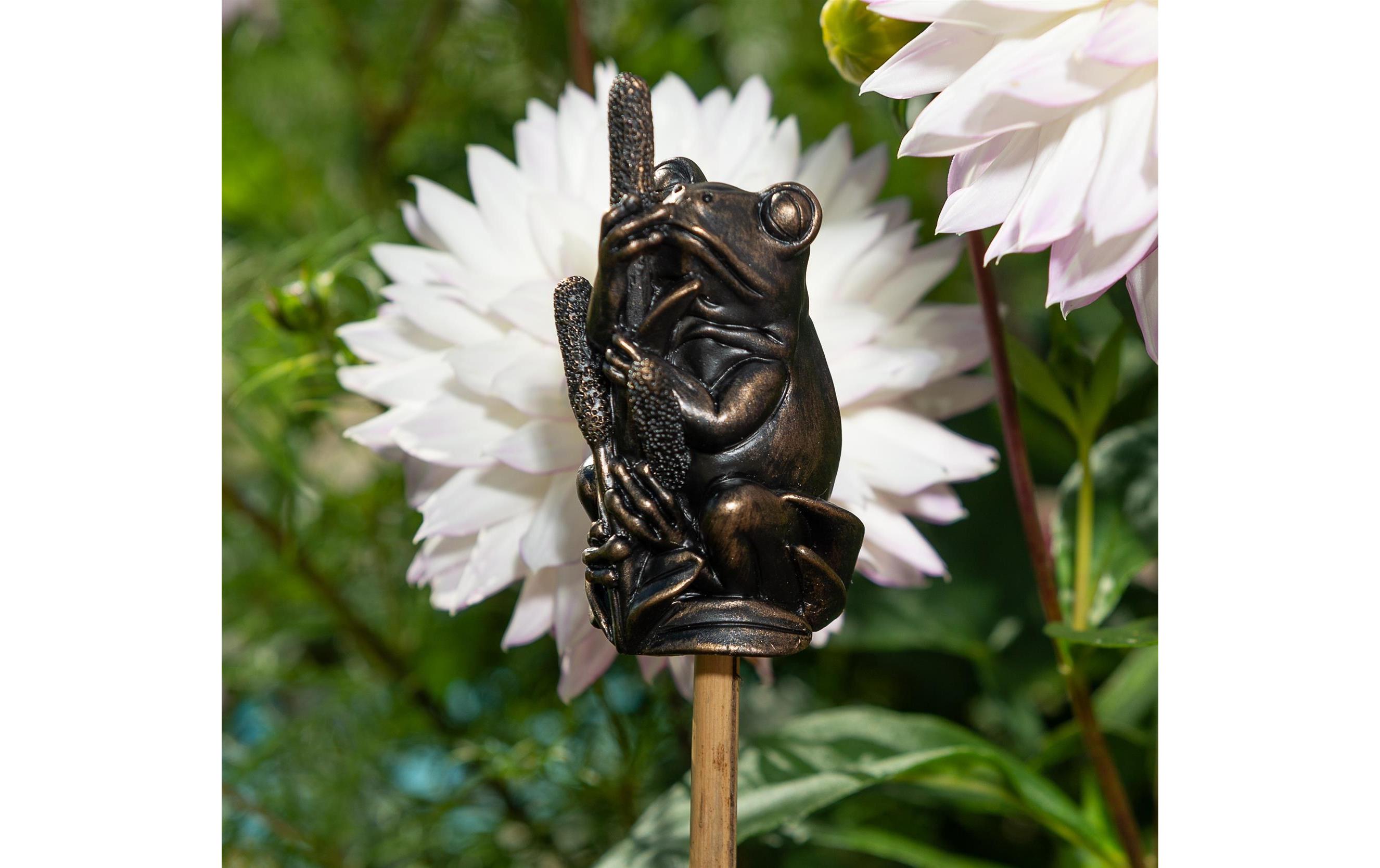 Jardinopia Cane Companions Frosch