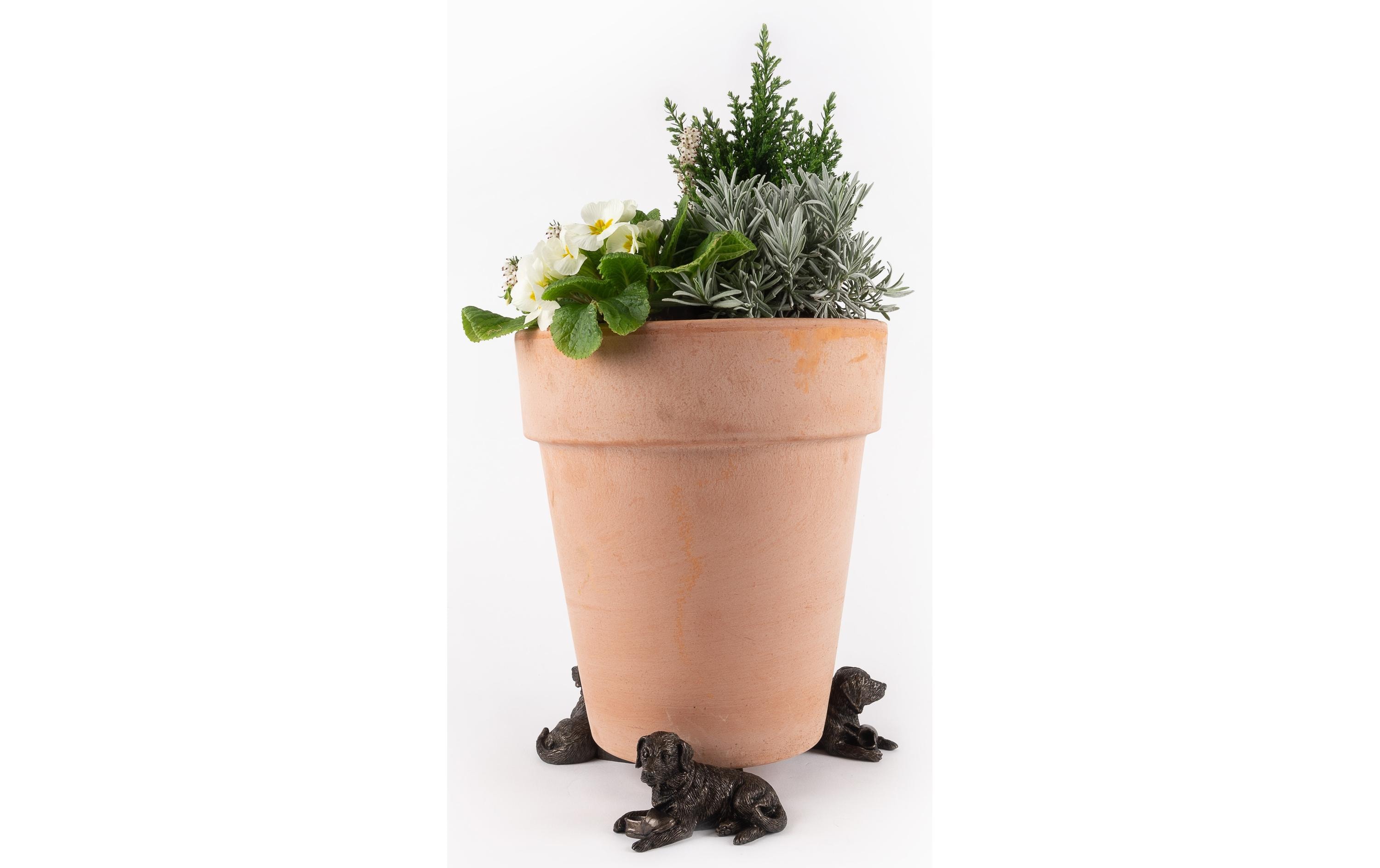 Jardinopia Pflanzentopffüsse Potty Feet Liegender Labrador, 3er Set