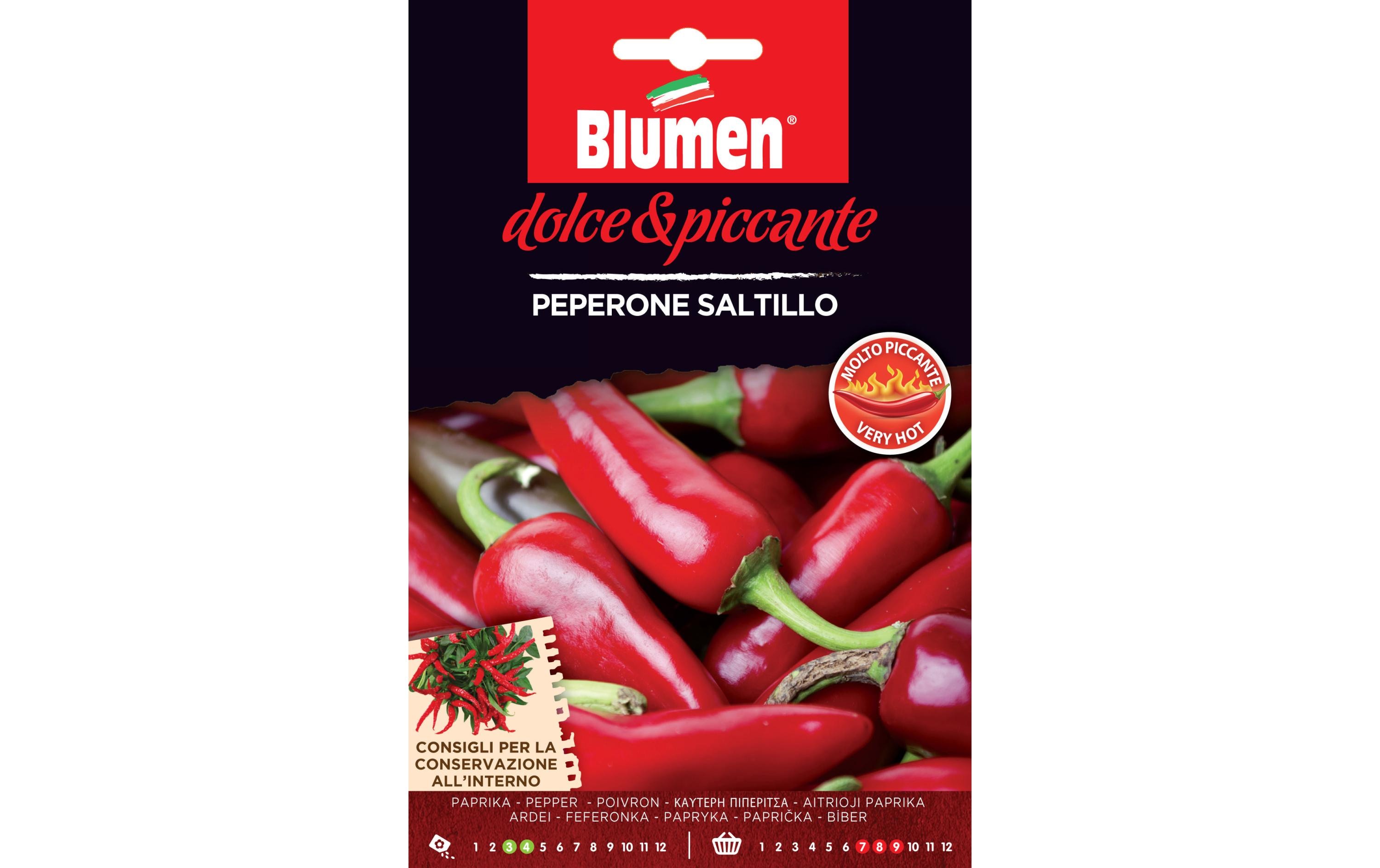 Blumen Samen Chili Saltillo