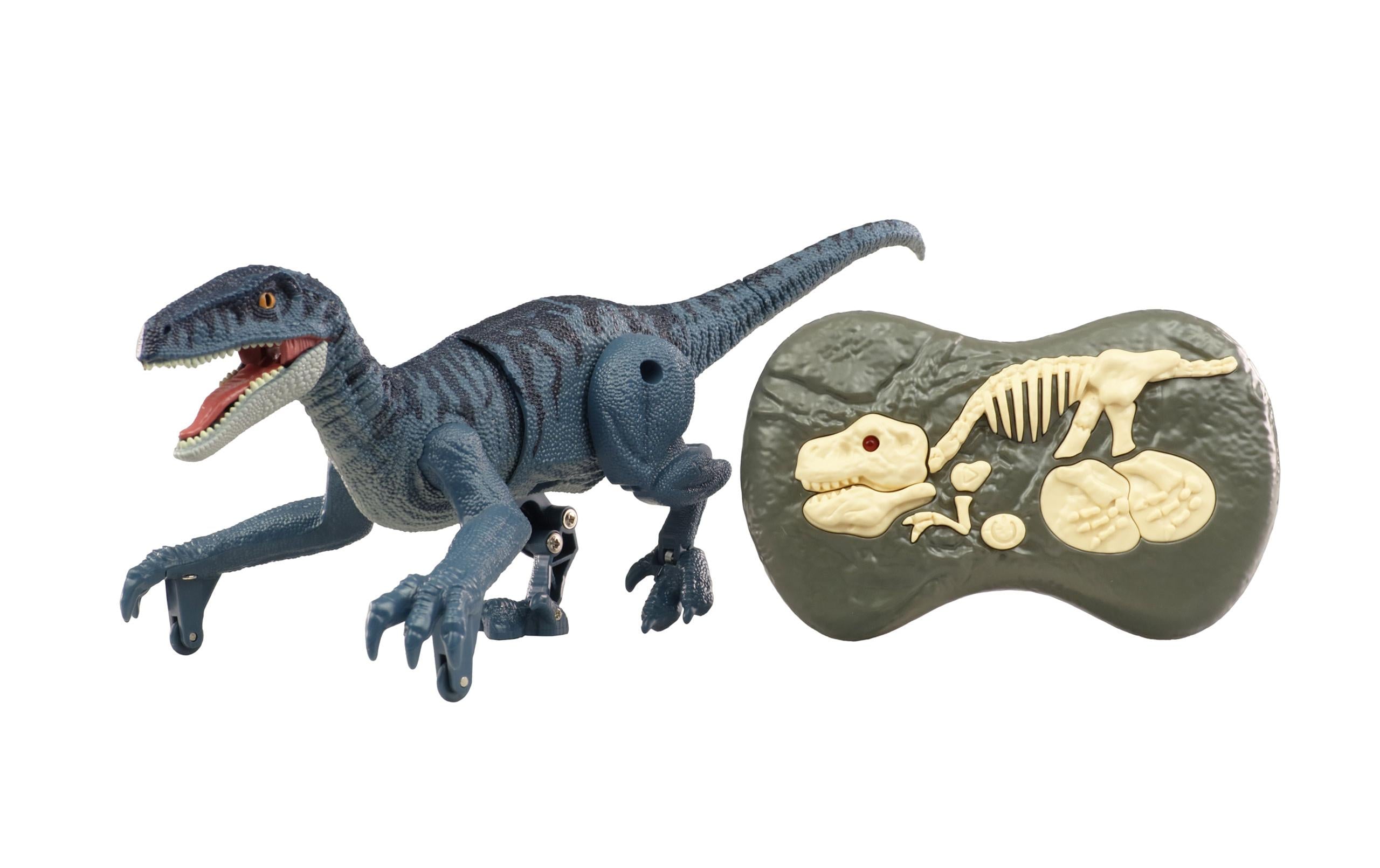 Amewi RC Dinosaurier Velociraptor Blaugrau, RTR