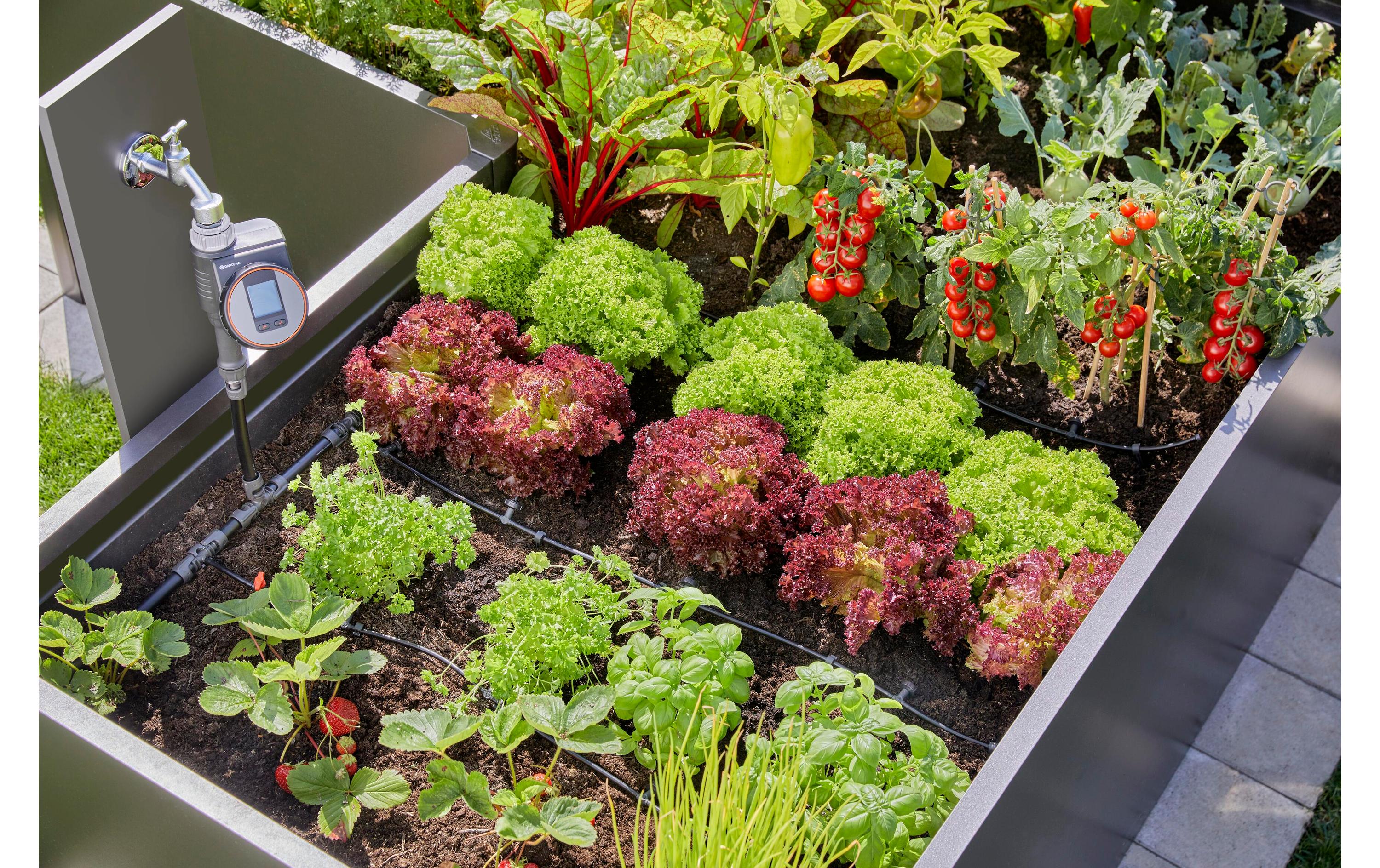 GARDENA Start-Set Tropfbewässerung für Hochbeete Micro-Drip-System