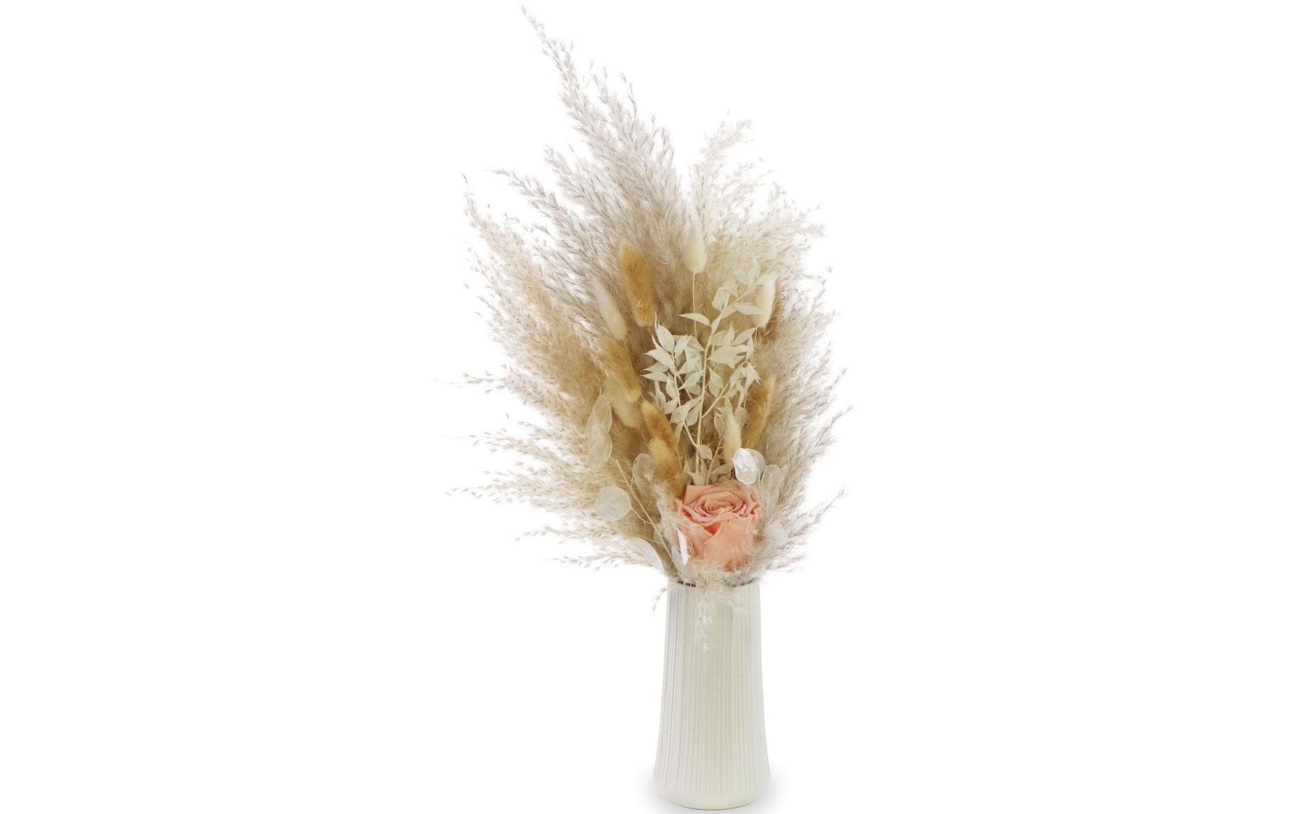 Soli Collection Trockenblumen Peach 60 cm, Weiss