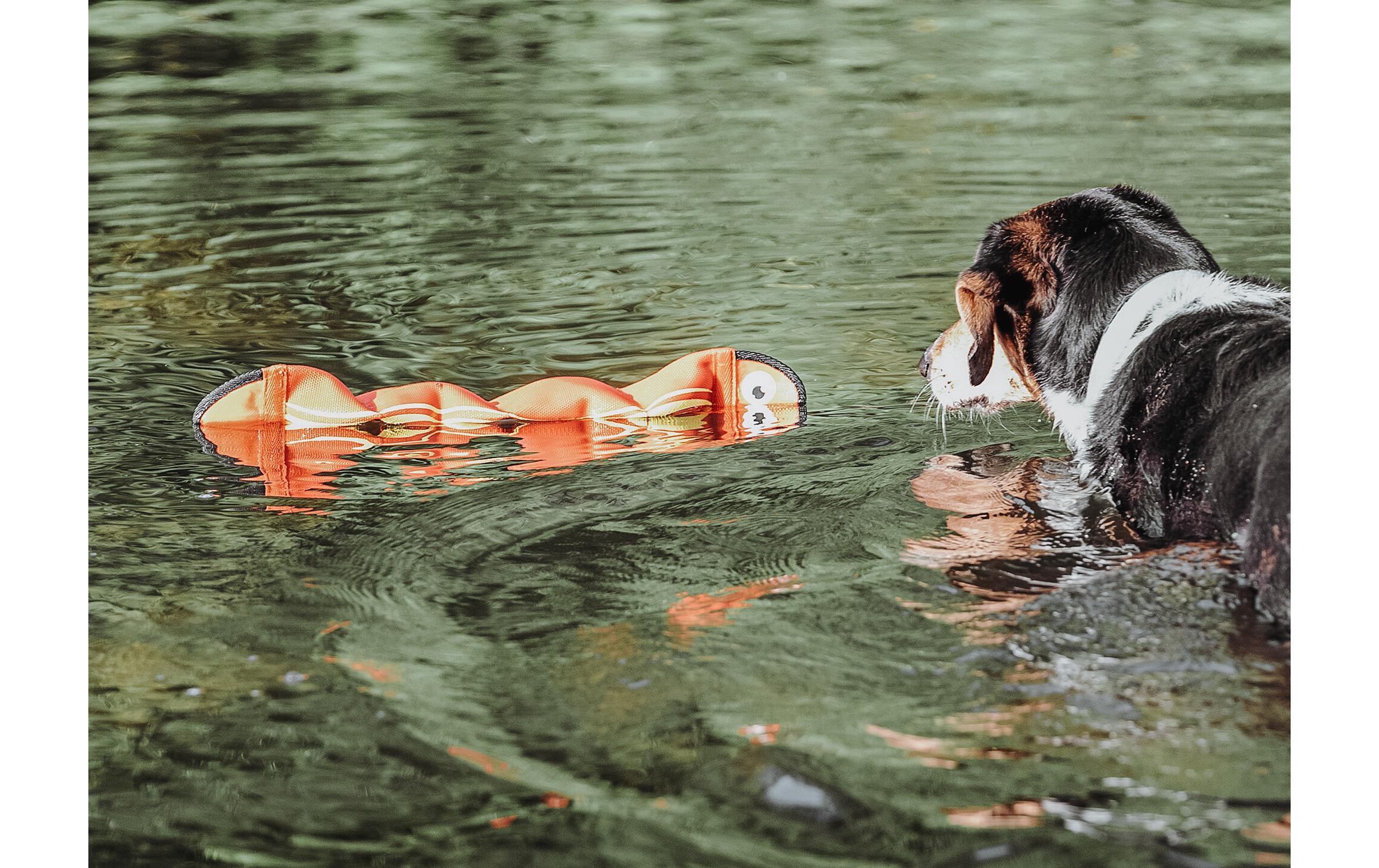 Hunter Hunde-Spielzeug Aqua Mindelo, Orange, 52 cm