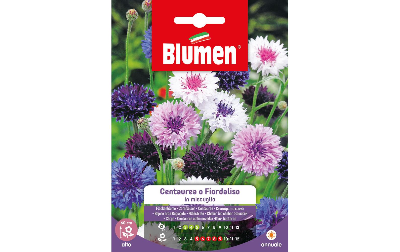 Blumen Saatgut Kornblume Mix