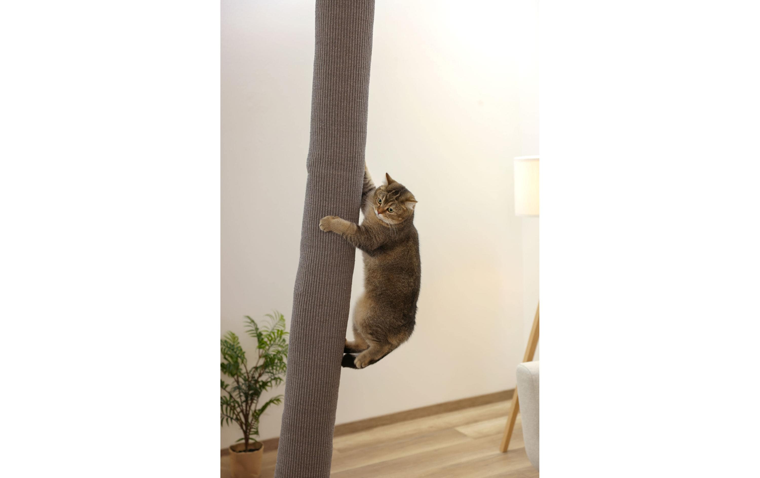 Kerbl Climber für Katzen 16 cm x 16 cm x 240 cm