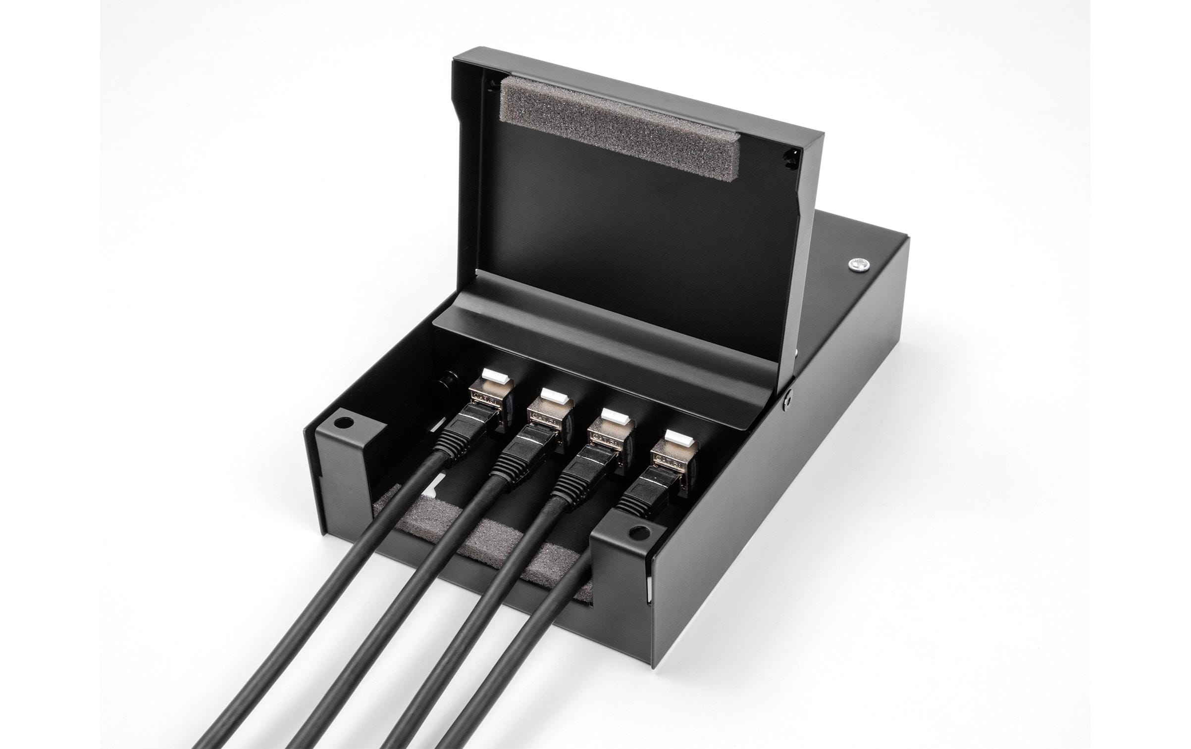 Delock Konsolidierungspunkt-Box 4 Port für Keystone Module