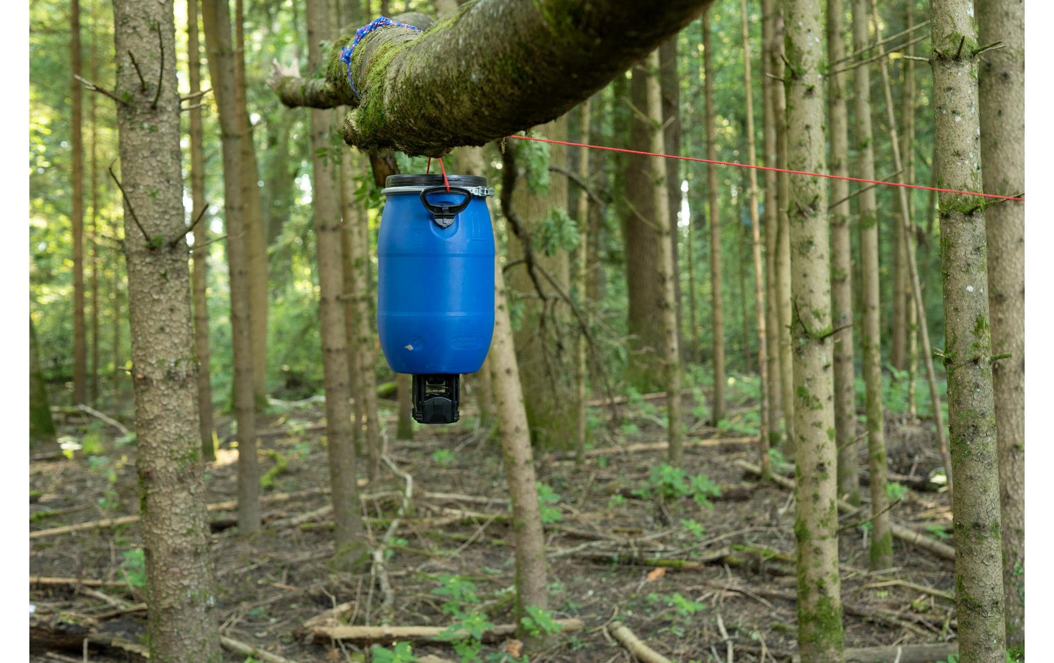 Dörr Kamera Futterspender Compact Futterstreuer ohne Behälter