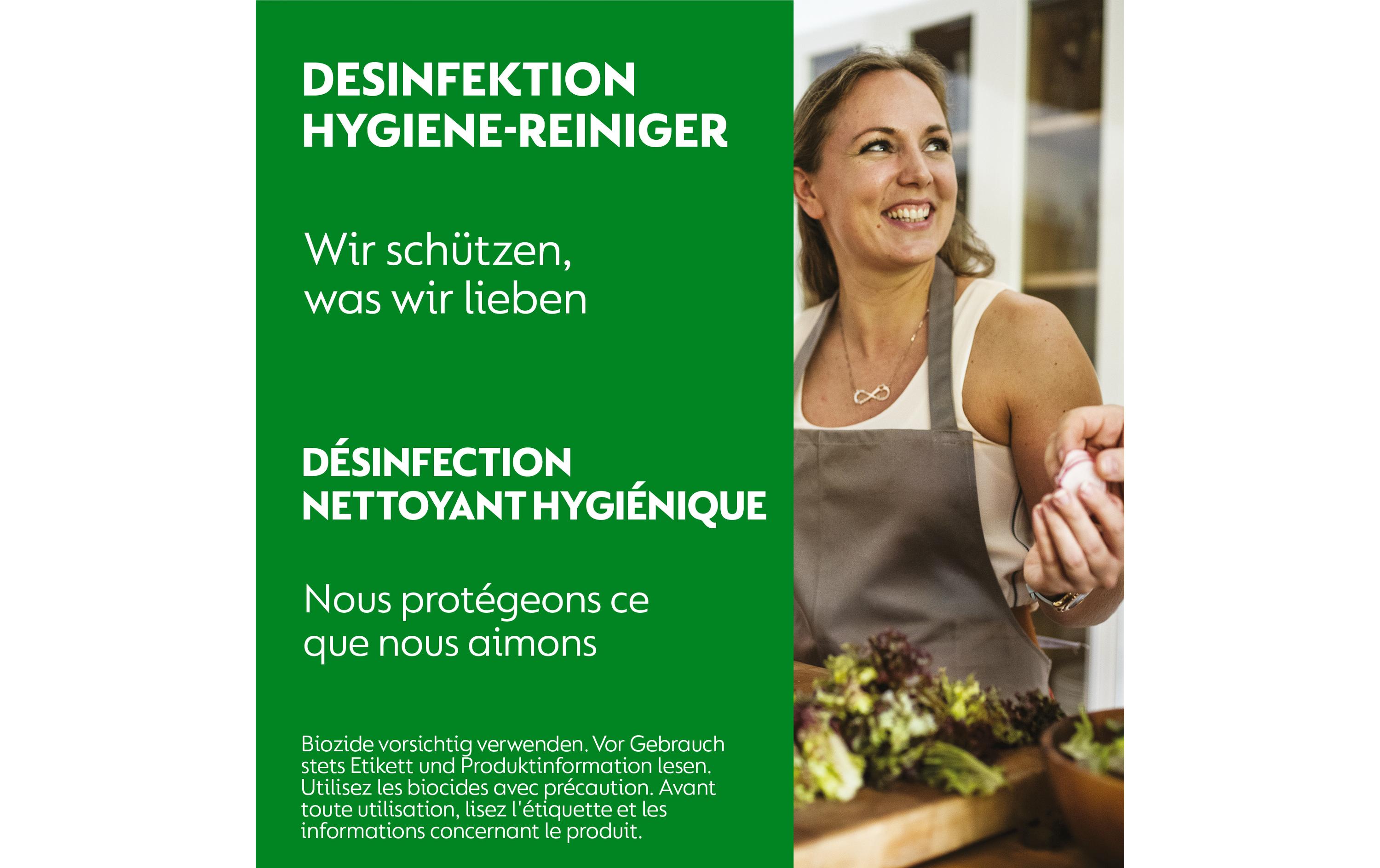 Dettol Desinfektion Hygiene-Reiniger 750 ml