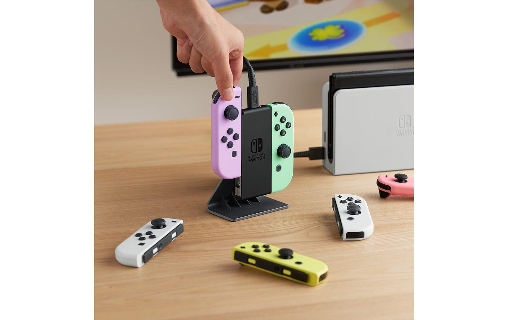 Nintendo Joy-Con Ladeaufsteller