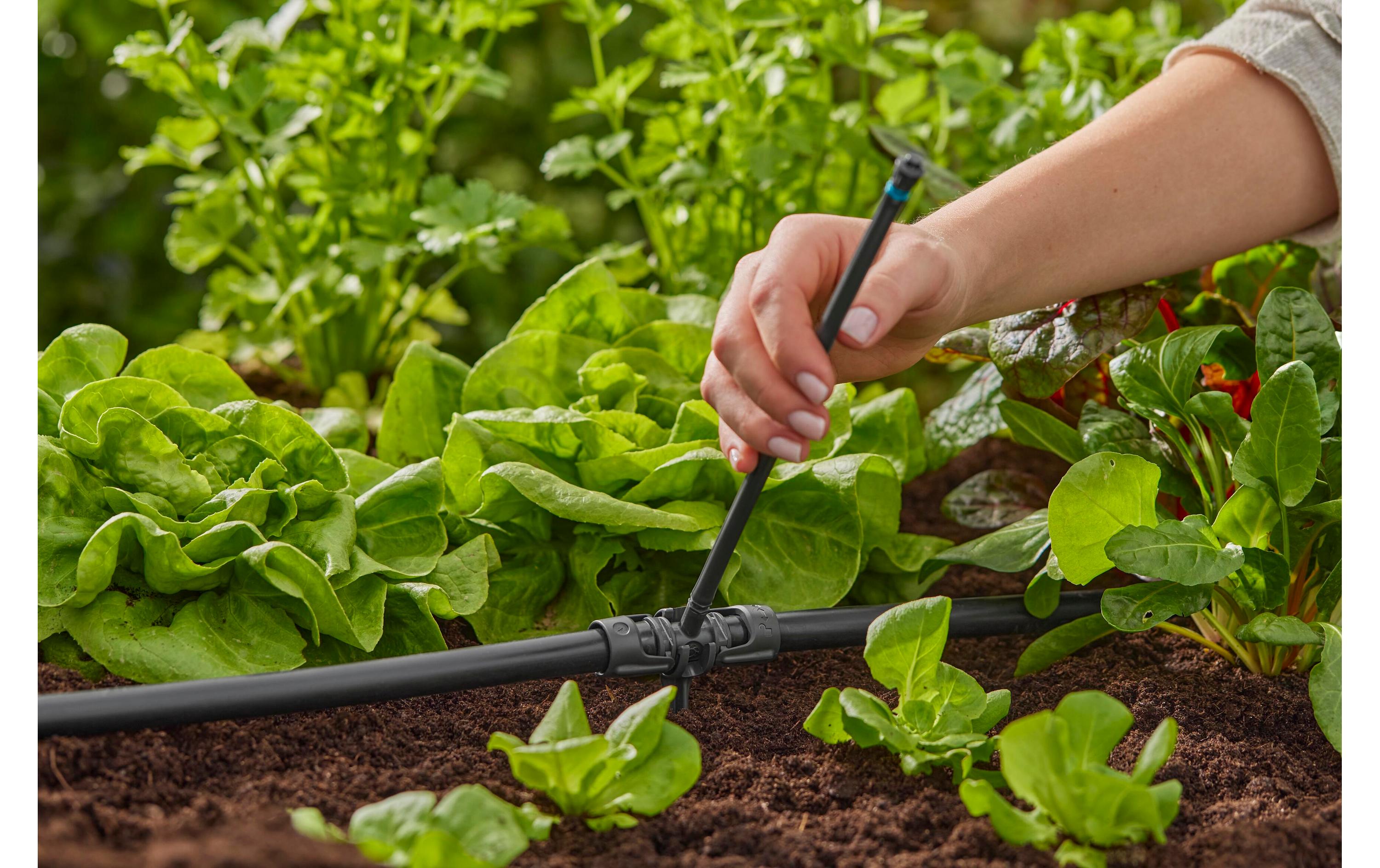 GARDENA T-Stück für Sprühdüsen Micro-Drip-System 13 mm(1/2) 5 Stück