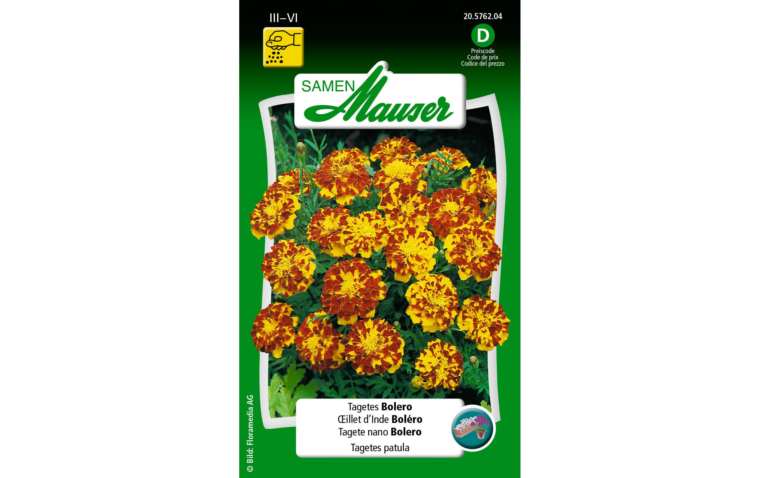 Samen Mauser Saatgut Tagetes Bolero