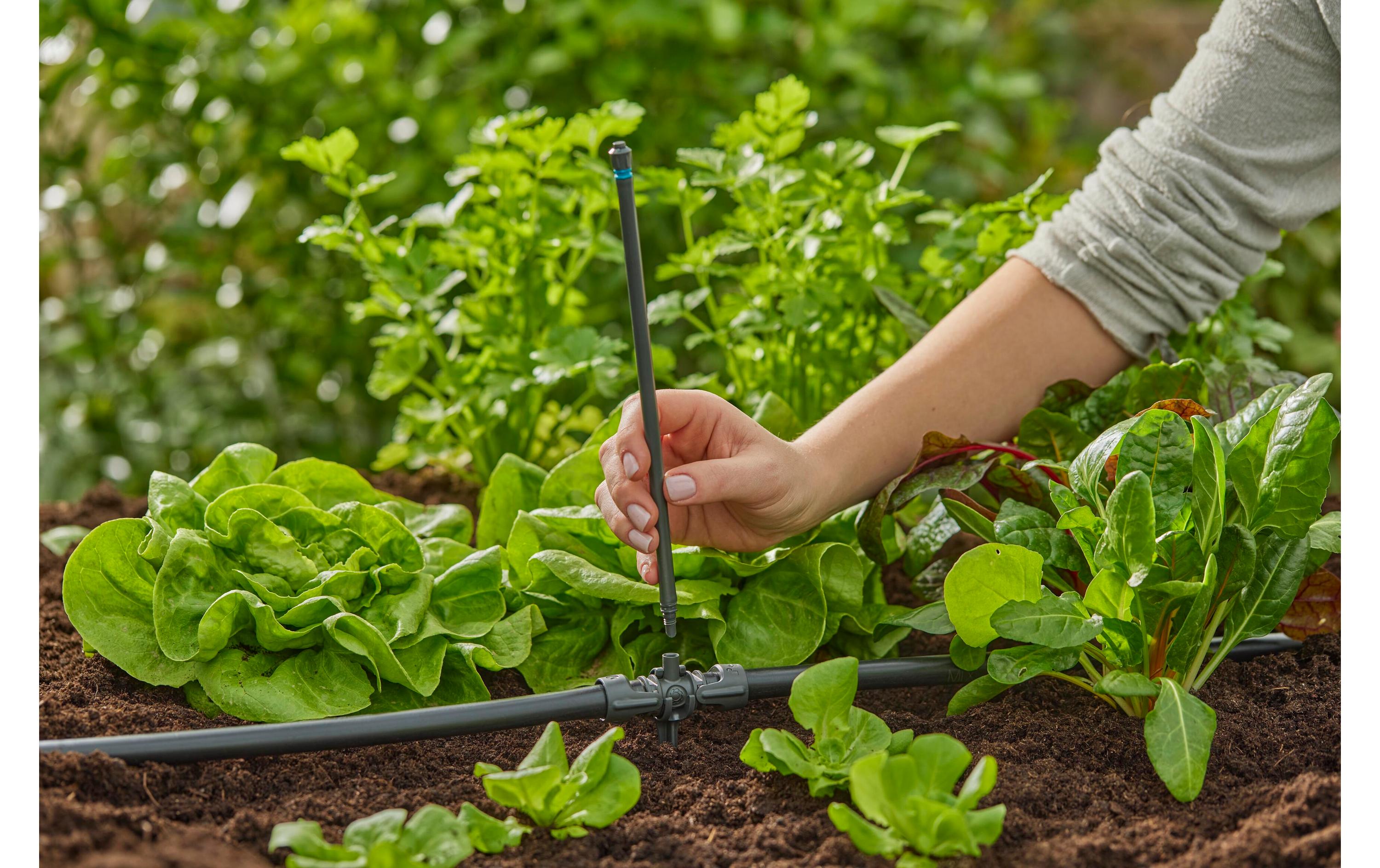 GARDENA T-Stück für Sprühdüsen Micro-Drip-System 13 mm(1/2) 5 Stück