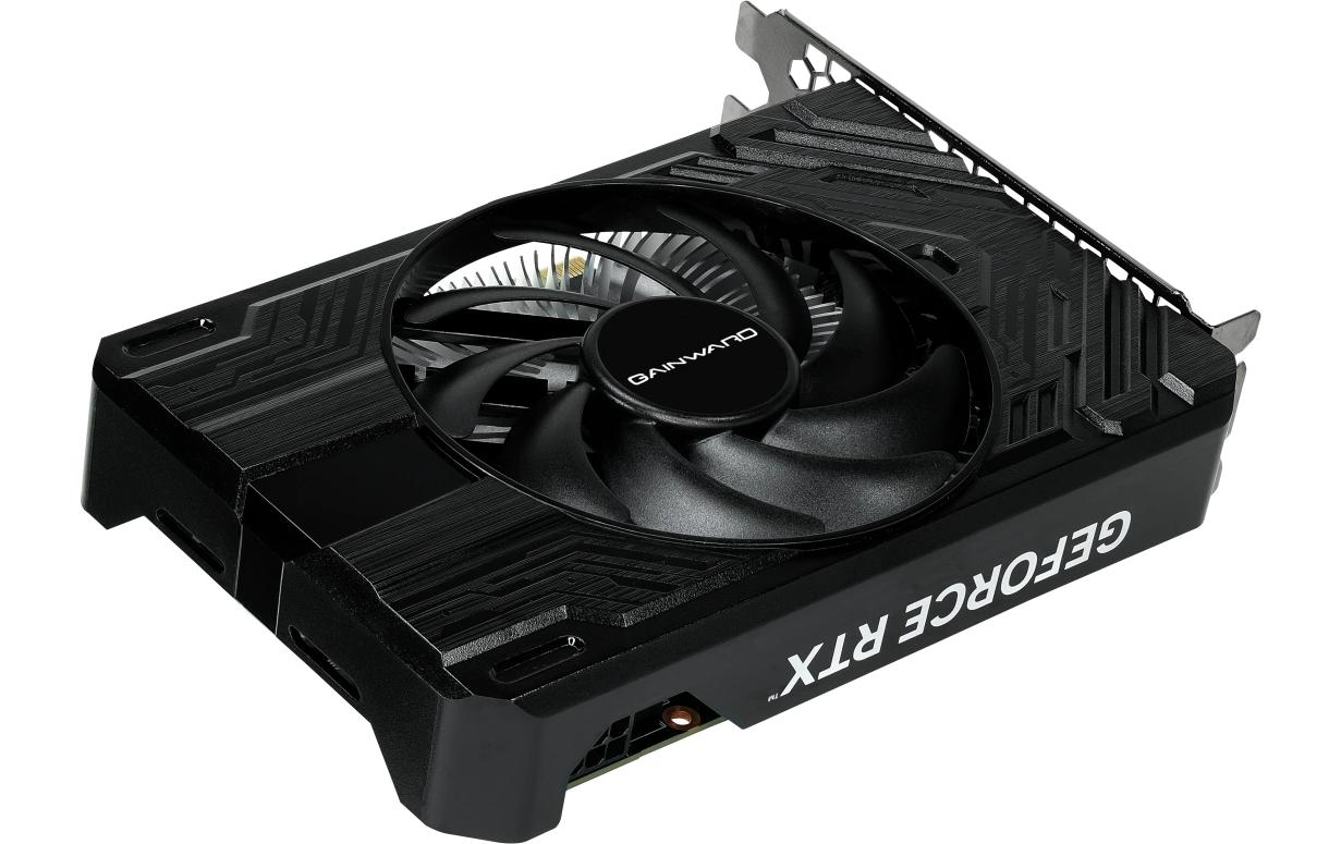 Gainward Grafikkarte GeForce RTX 4060 Pegasus 8 GB