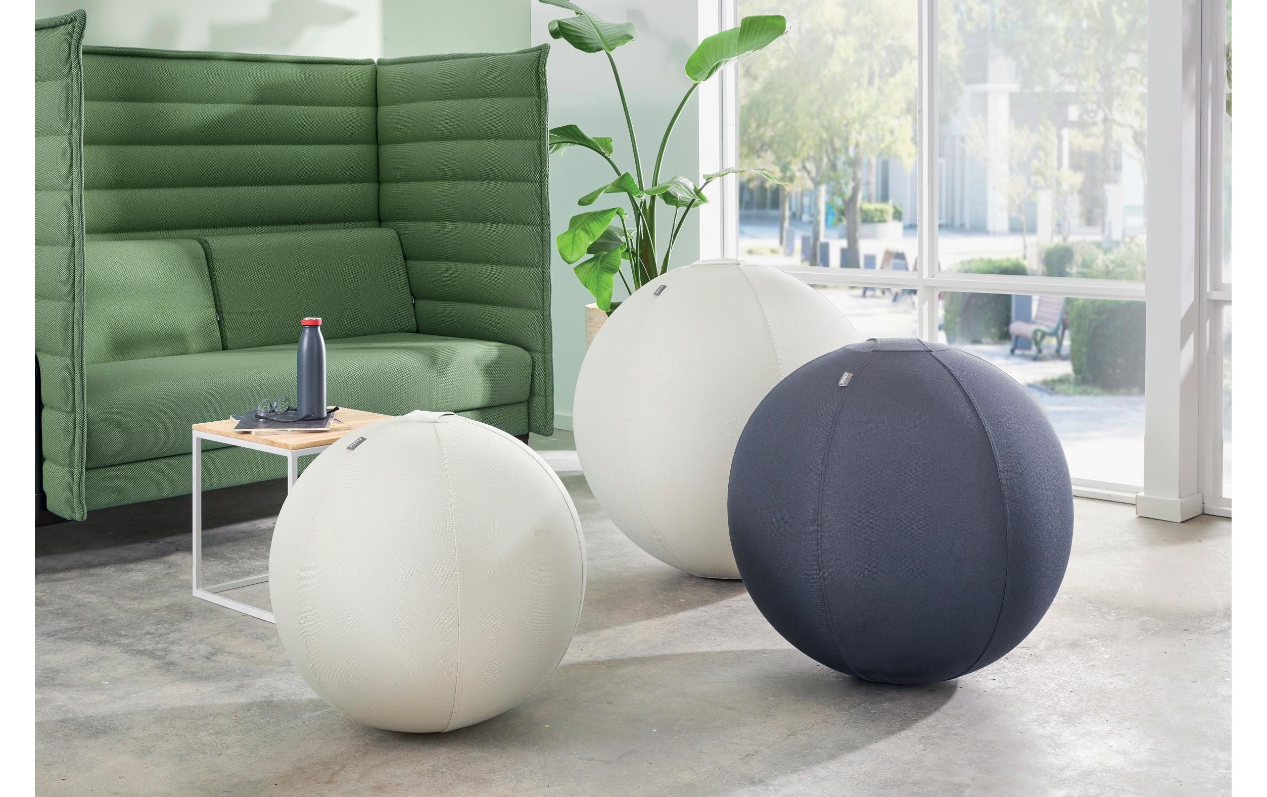 Leitz Sitzball Ergo Active 75 cm