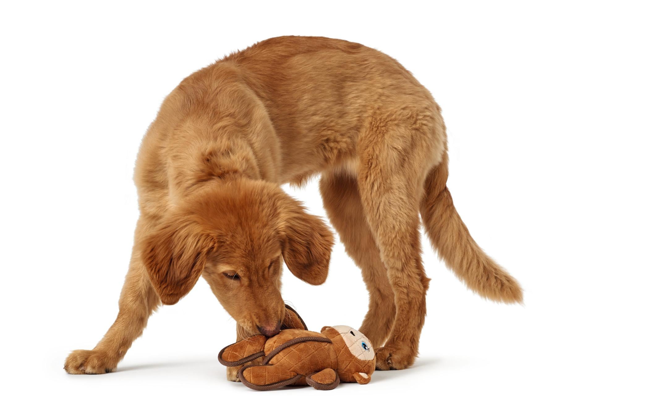 Hunter Hunde-Spielzeug Tough Toys Affe, 25 cm, Braun
