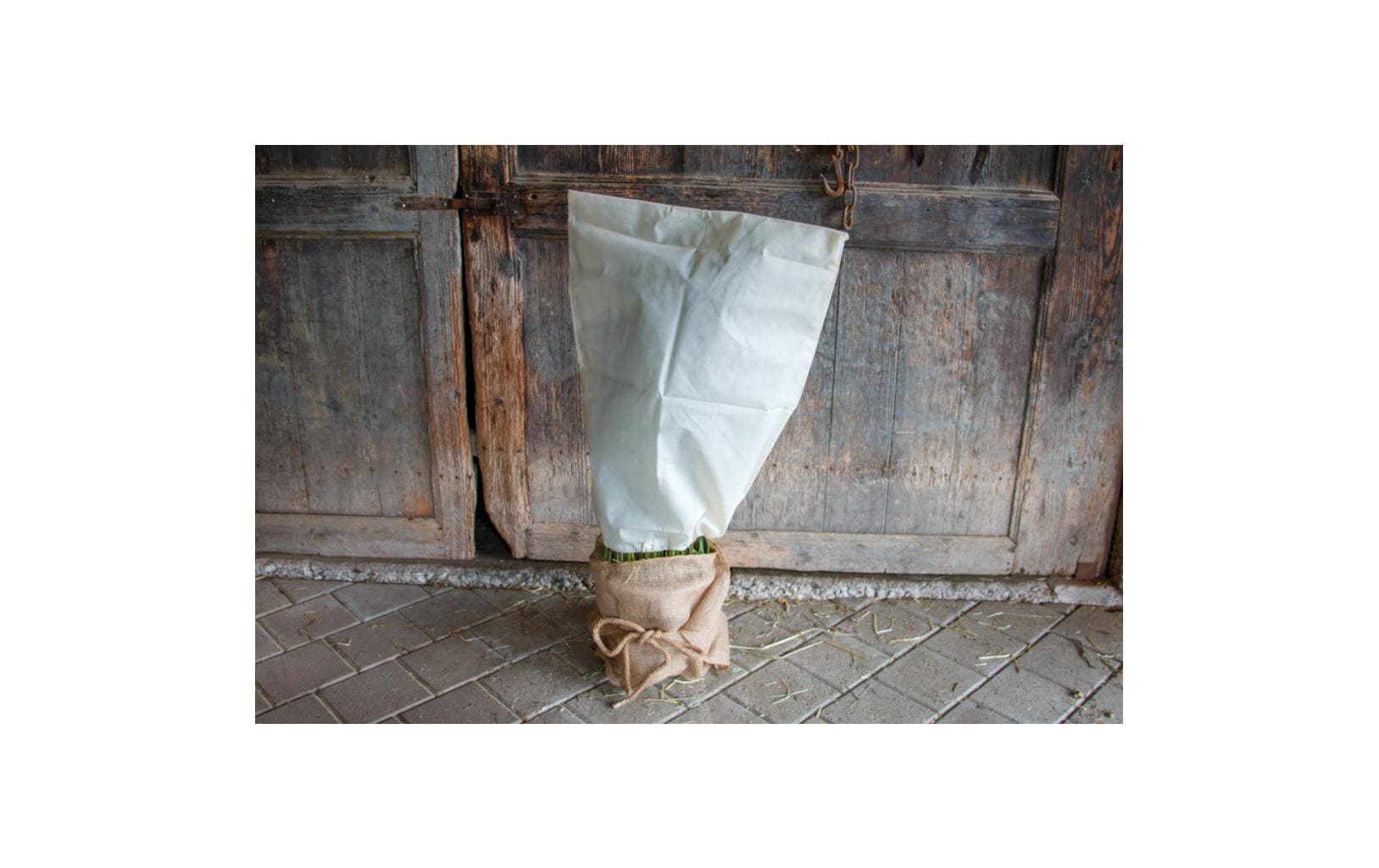 Colibri Winterschutz aus Jute natur, 230 g/m² 150 x 38 cm