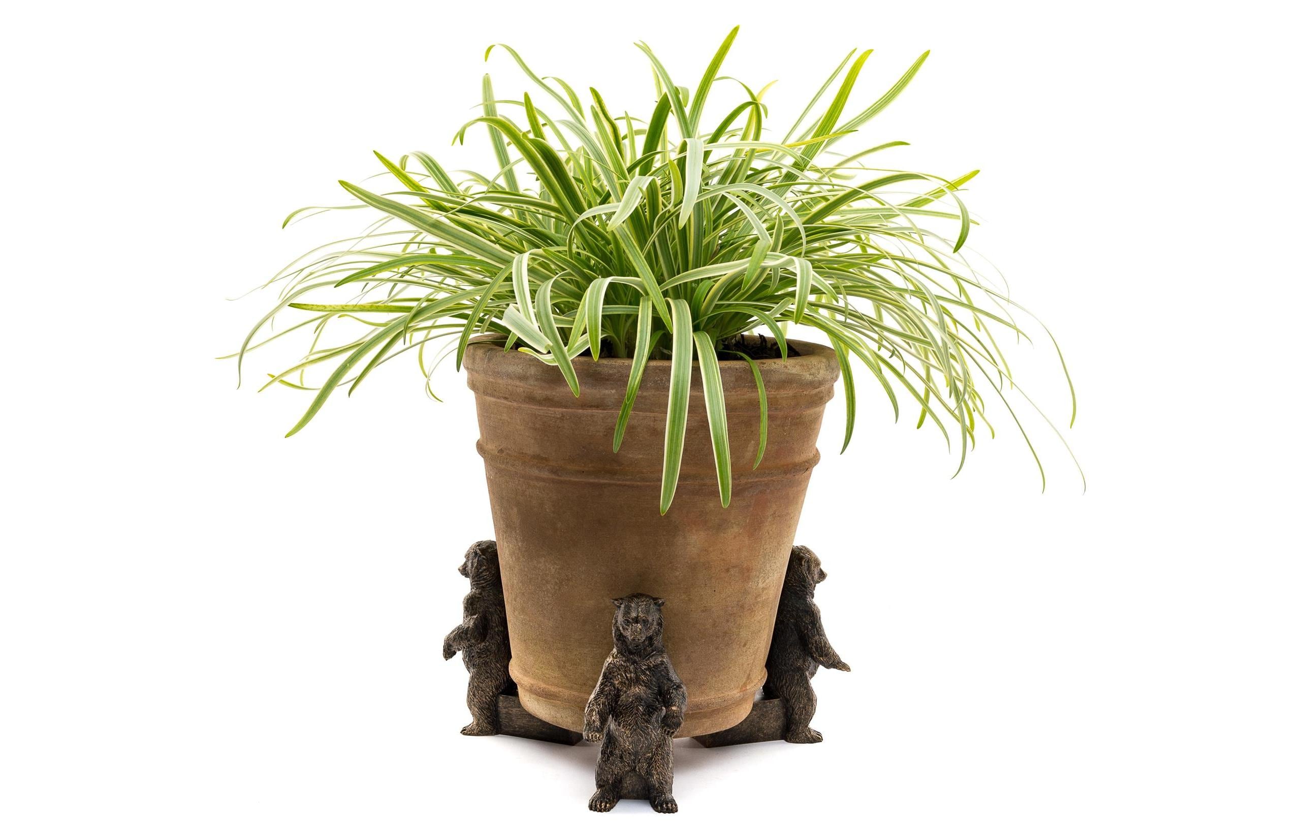 Jardinopia Pflanzentopffüsse Potty Feet Grizzlybär, 3er Set