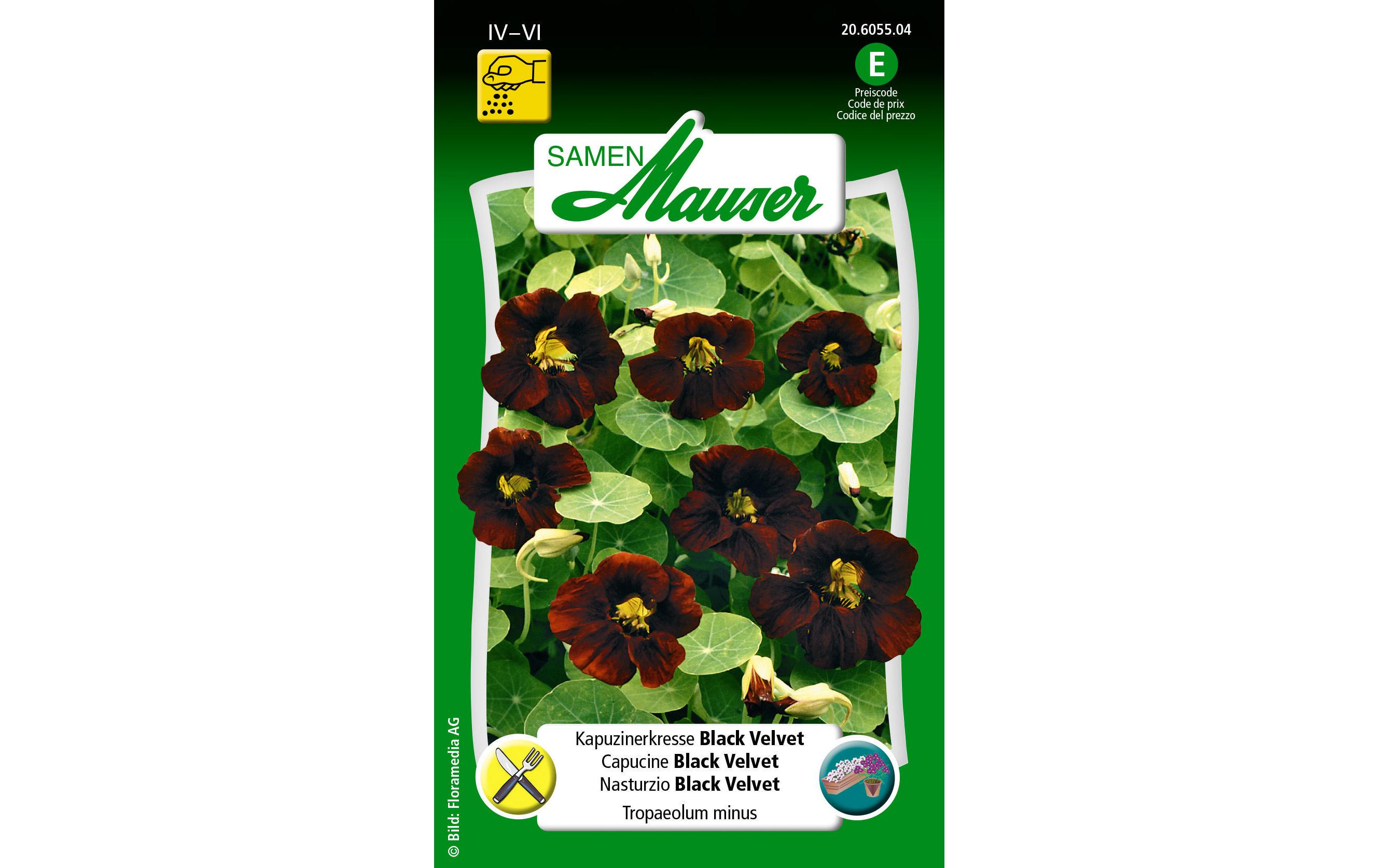 Samen Mauser Essbare Blüten Kapuzinerkresse Black Velvet