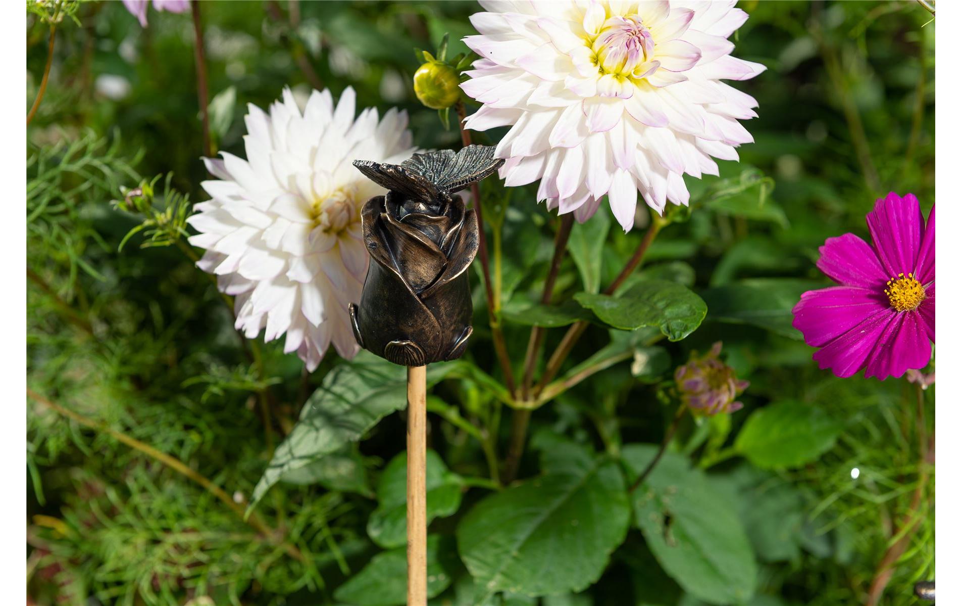 Jardinopia Cane Companions Schmetterling auf Rose