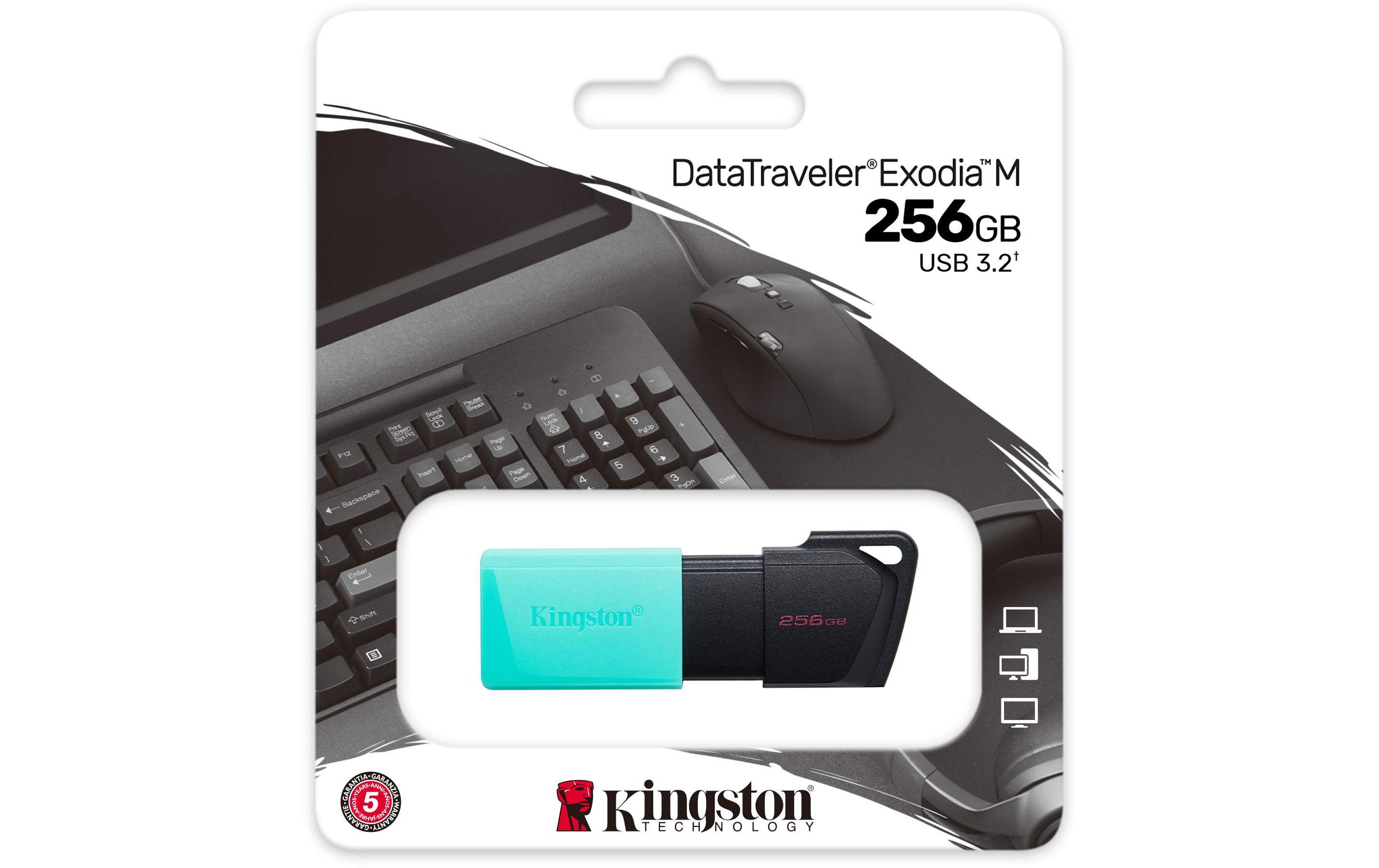 Kingston USB-Stick DataTraveler Exodia M 256 GB