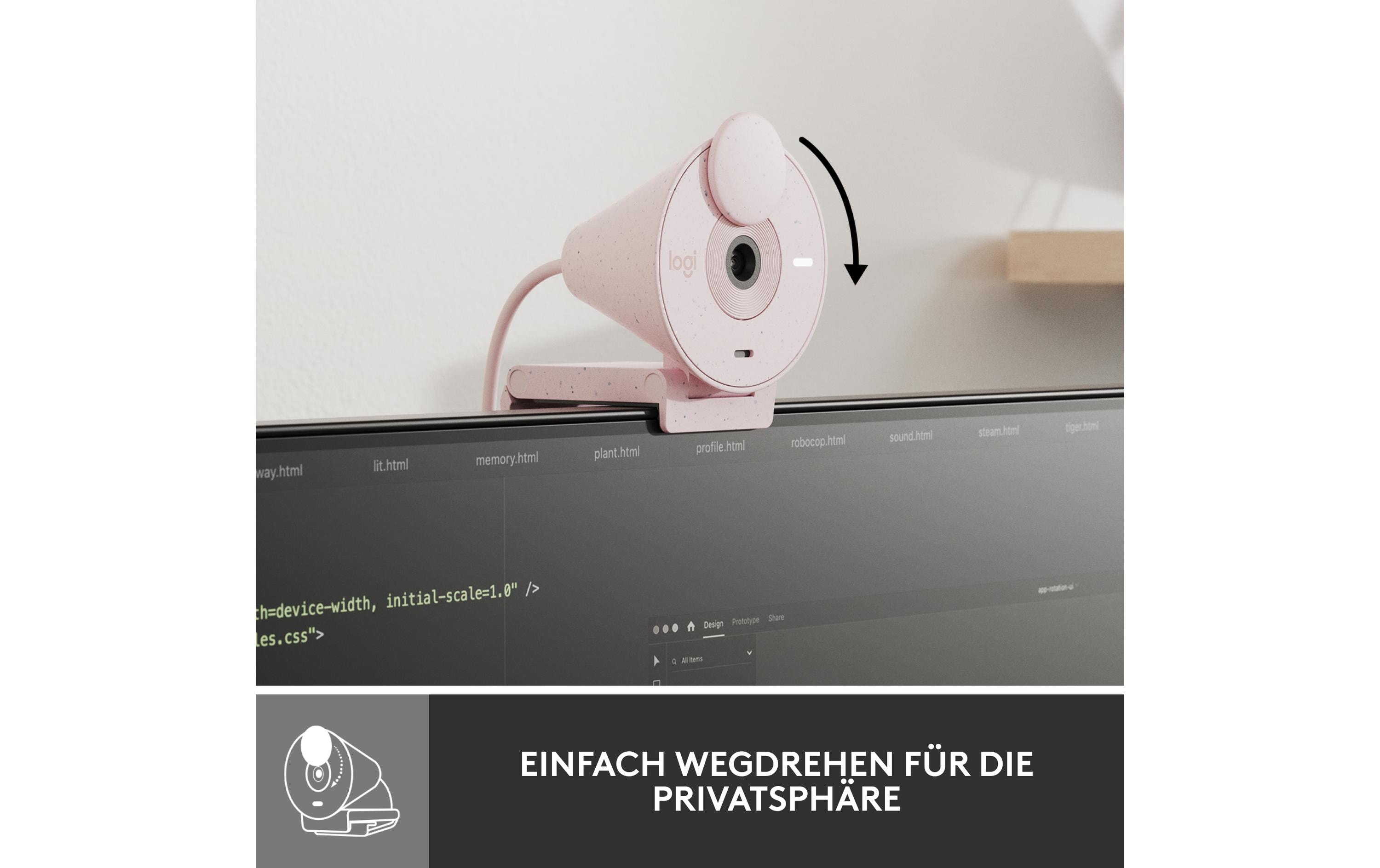 Logitech Webcam Brio 300 Rose