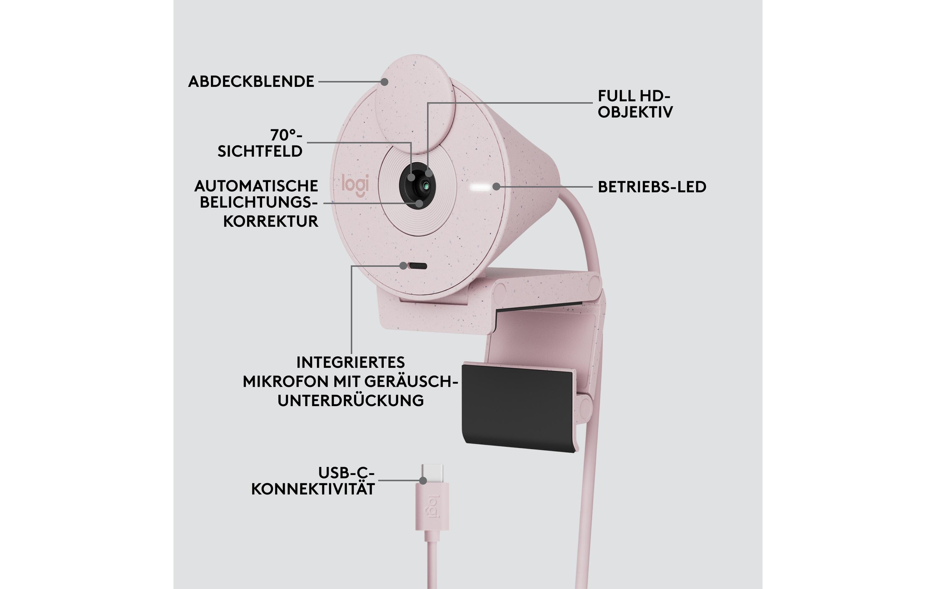 Logitech Webcam Brio 300 Rose