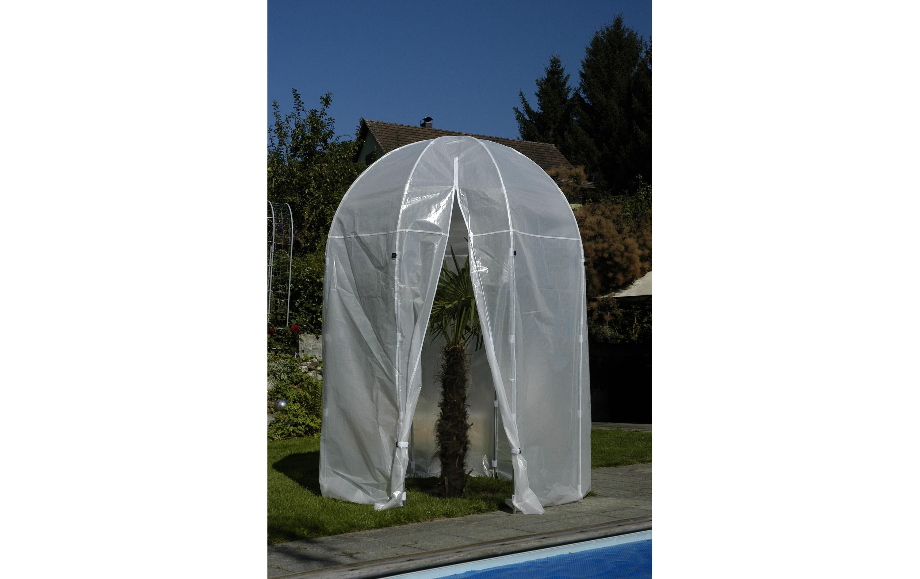 Colibri Premium Palmenhaus M, 200 x 275 cm