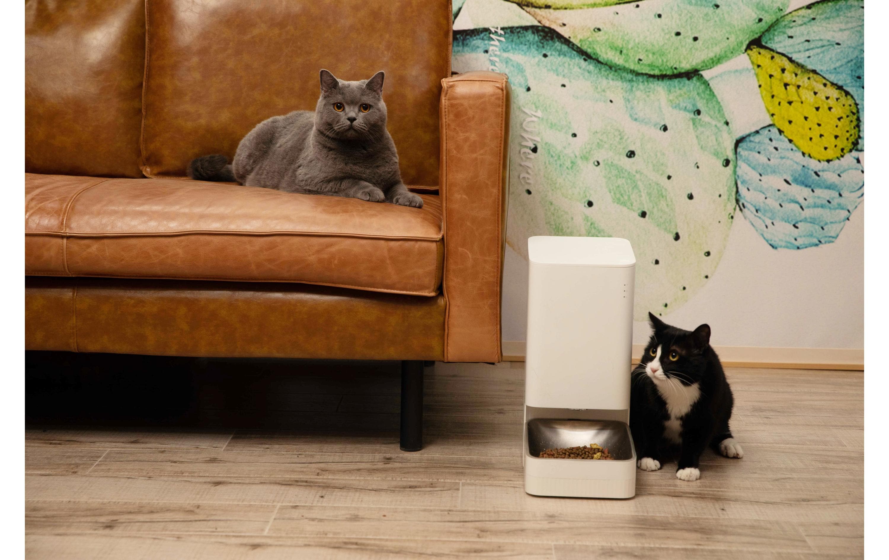 Xiaomi Smart Pet Food Feeder, Weiss