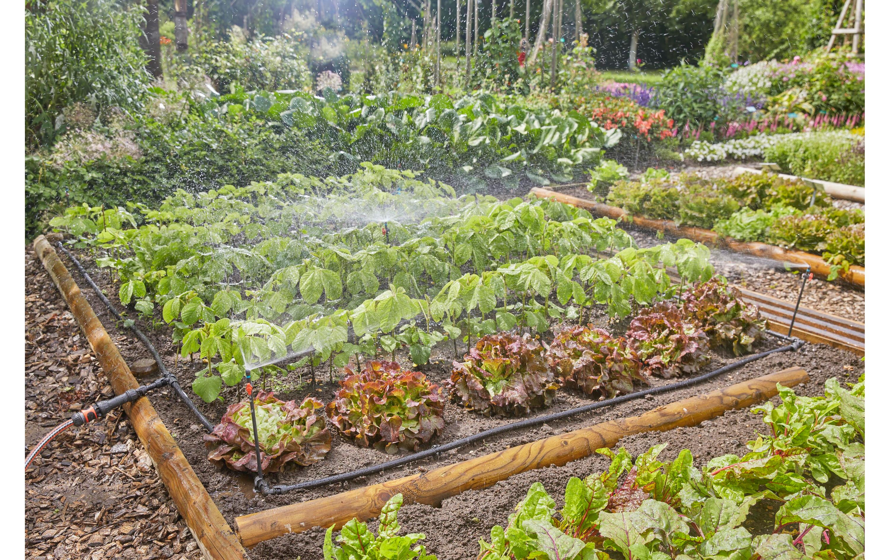 GARDENA Start-Set Tropfbewässerung für Gemüse Micro-Drip-System