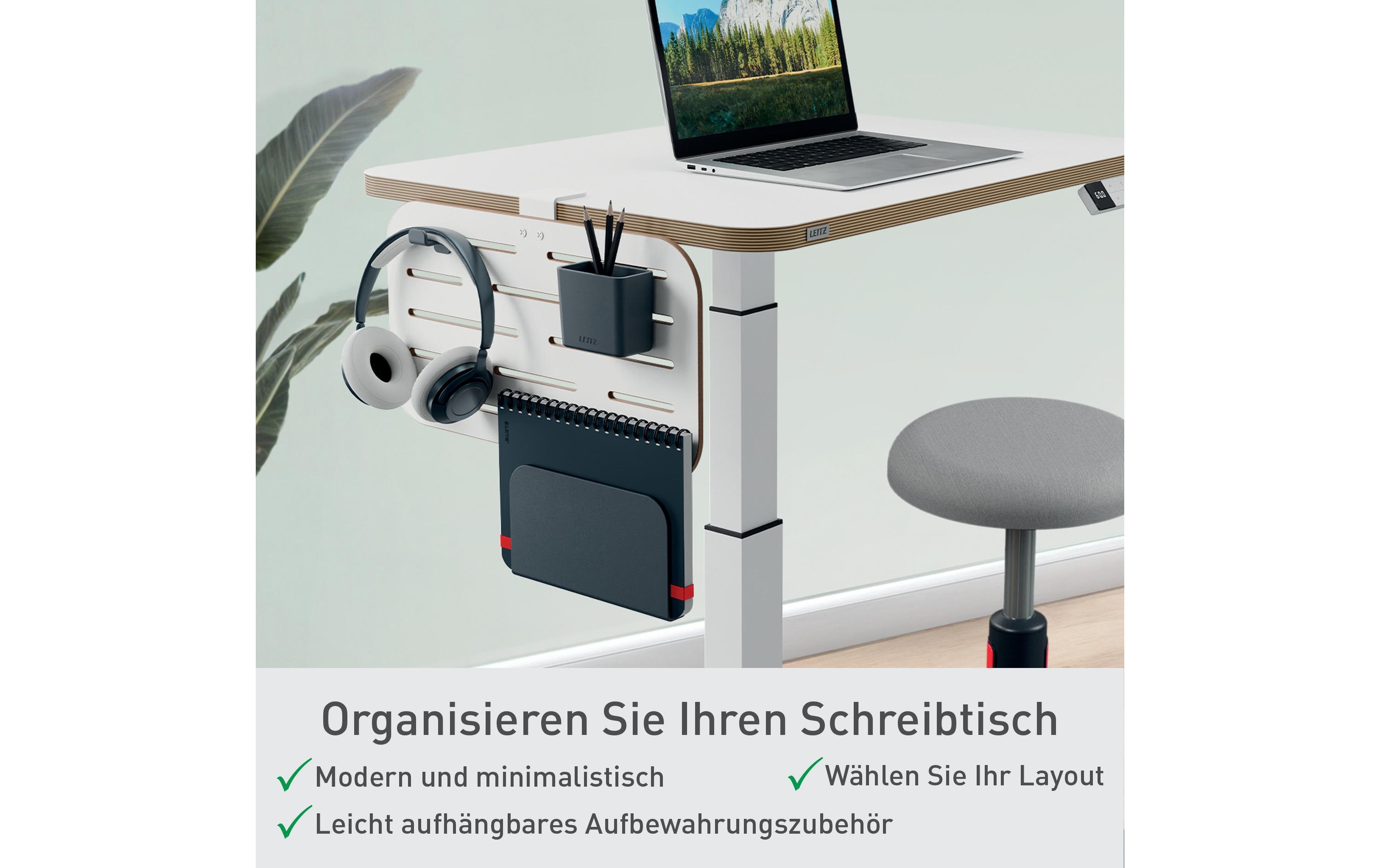 Leitz Stiftehalter Ergo Schreibtisch-Organizer Klein, Weiss